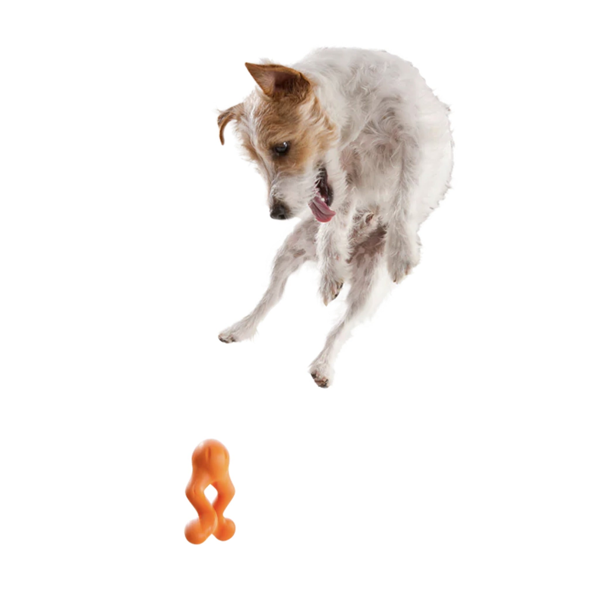 West Paw Zogoflex Tizzi, Hundespielzeug - Woofshack