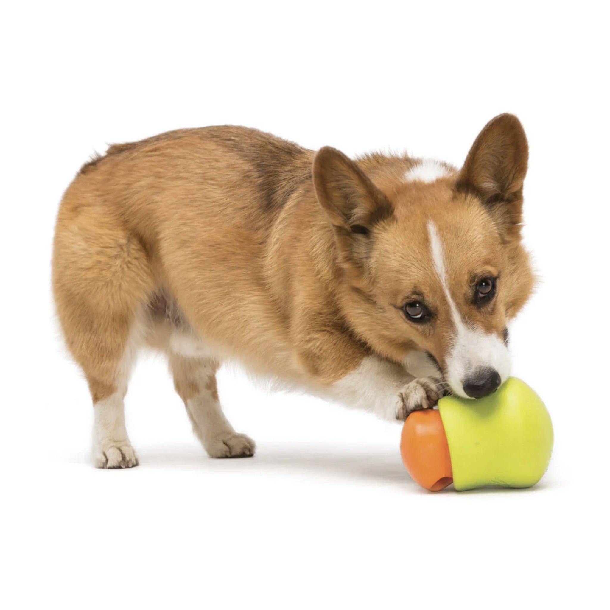 West Paw Zogoflex Toppl, Hundespielzeug - Woofshack