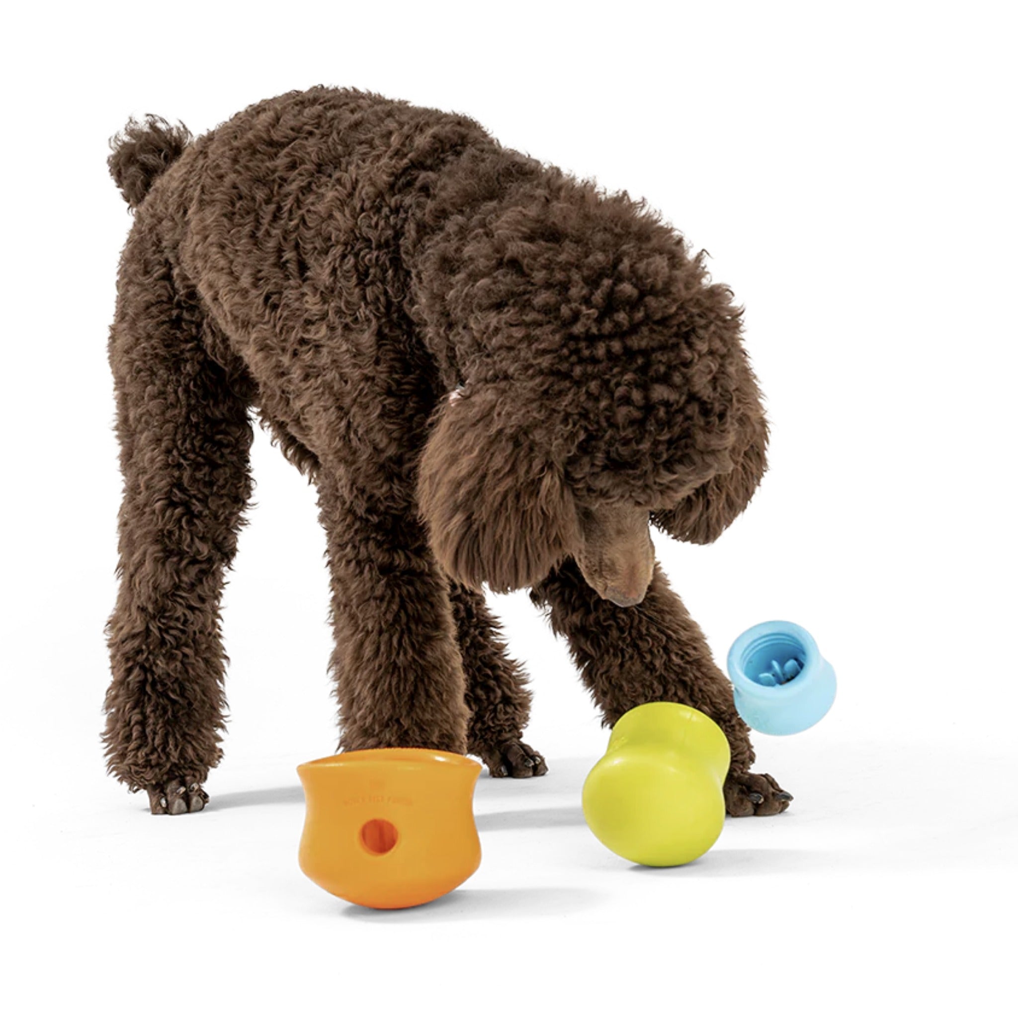 West Paw Zogoflex Toppl, Hundespielzeug - Woofshack