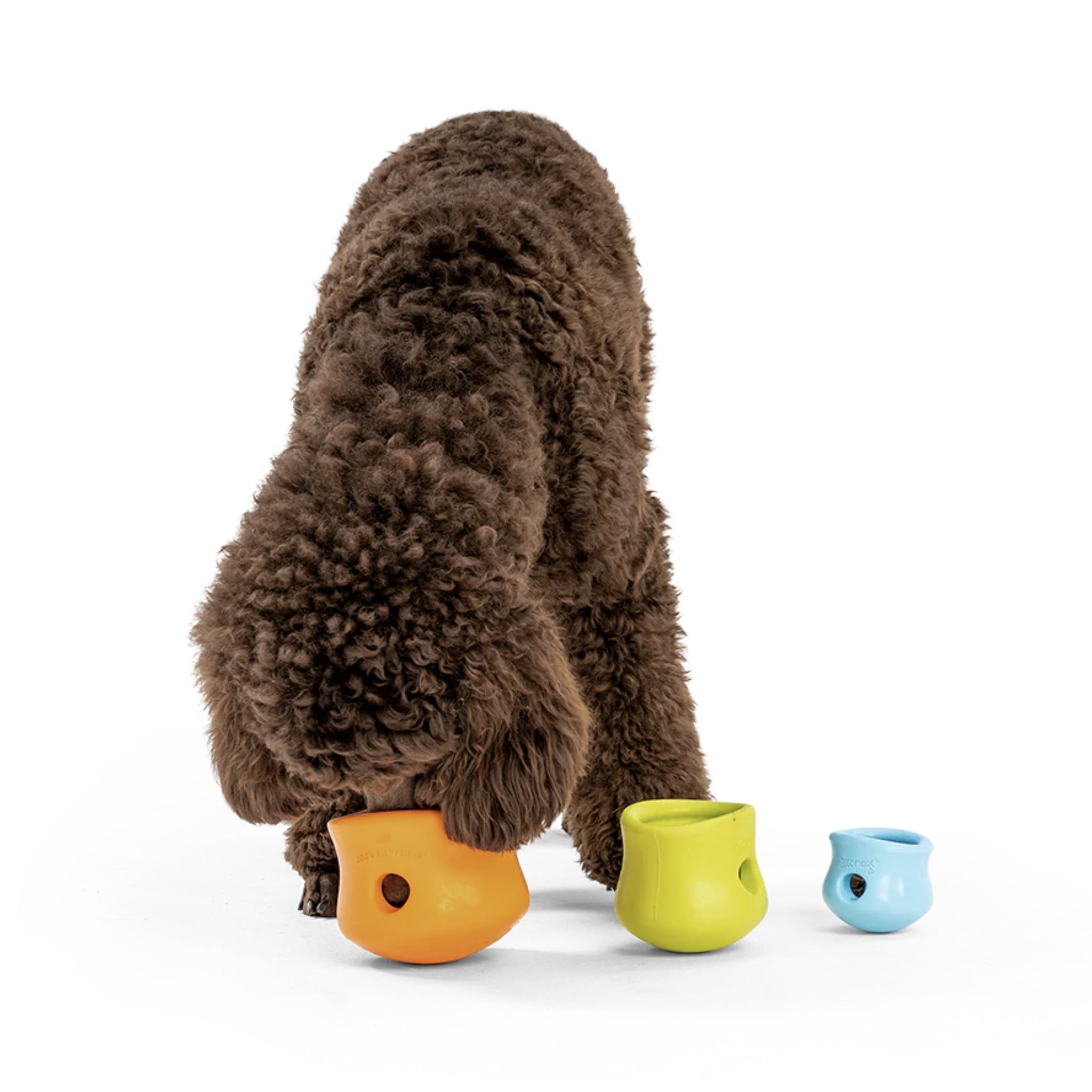 West Paw Zogoflex Toppl, Hundespielzeug - Woofshack