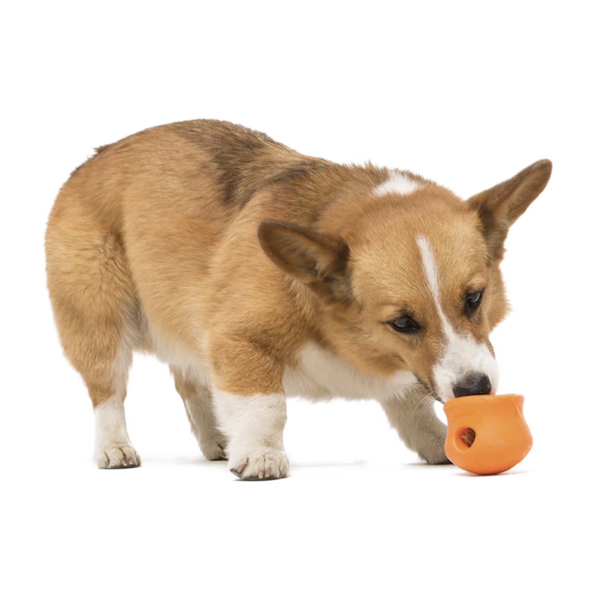 West Paw Zogoflex Toppl, Hundespielzeug - Woofshack