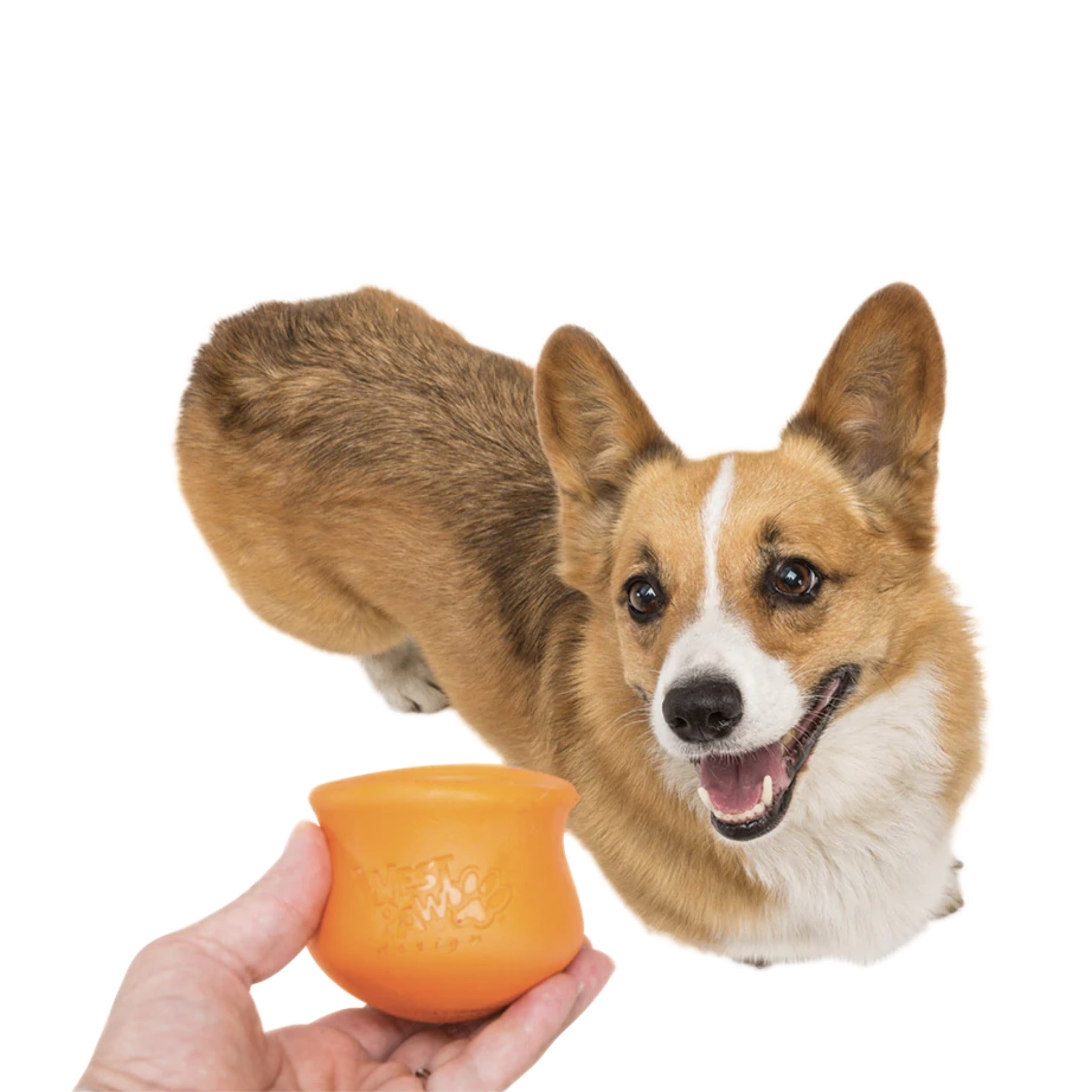 West Paw Zogoflex Toppl, Hundespielzeug - Woofshack