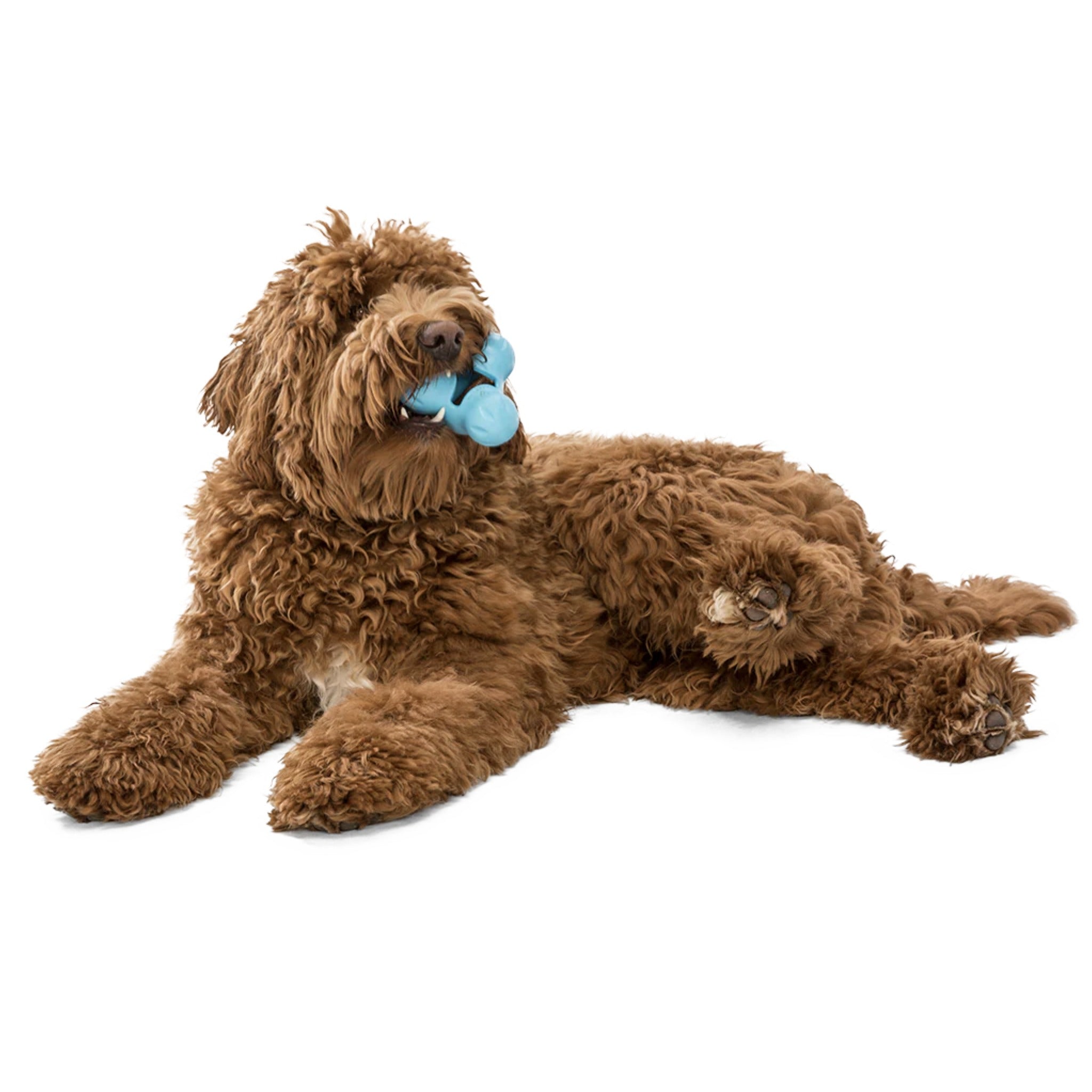 West Paw Zogoflex Tux, Hundespielzeug - Woofshack