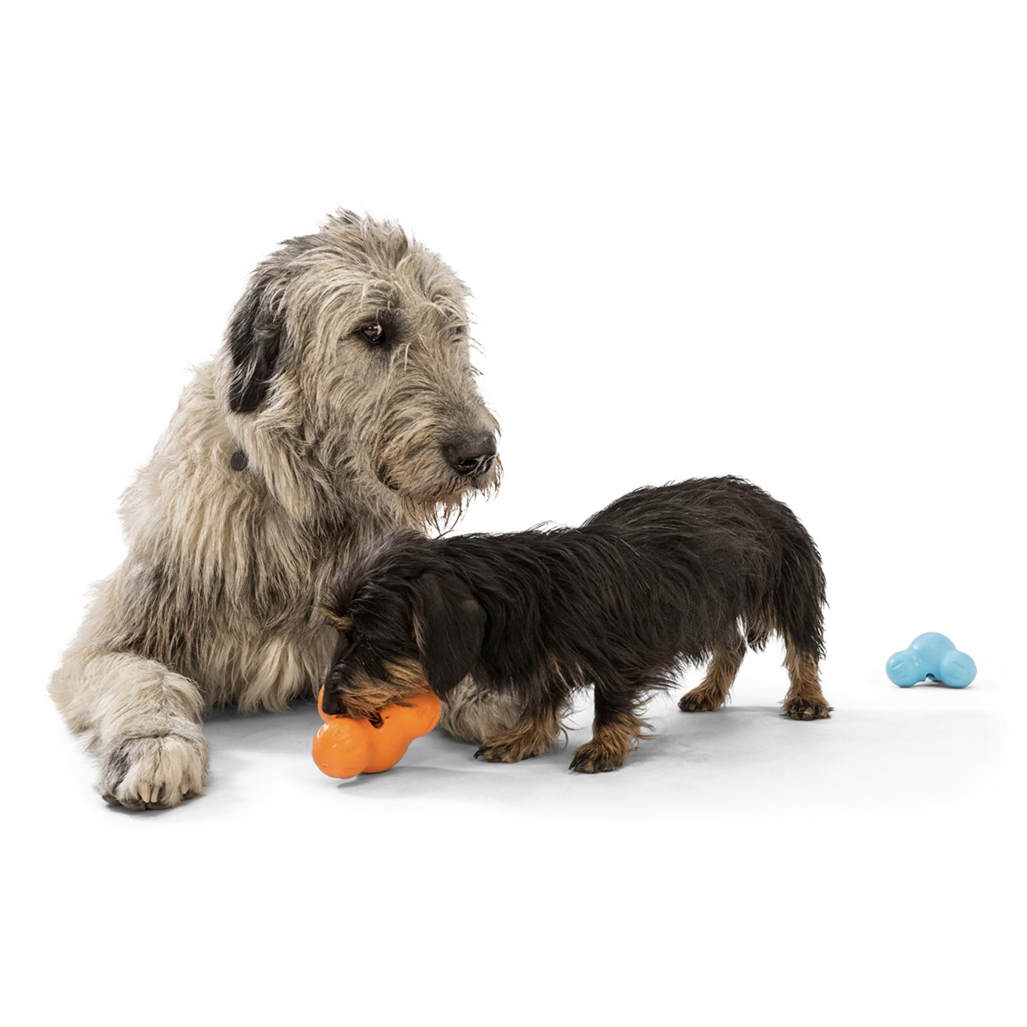 West Paw Zogoflex Tux, Hundespielzeug - Woofshack