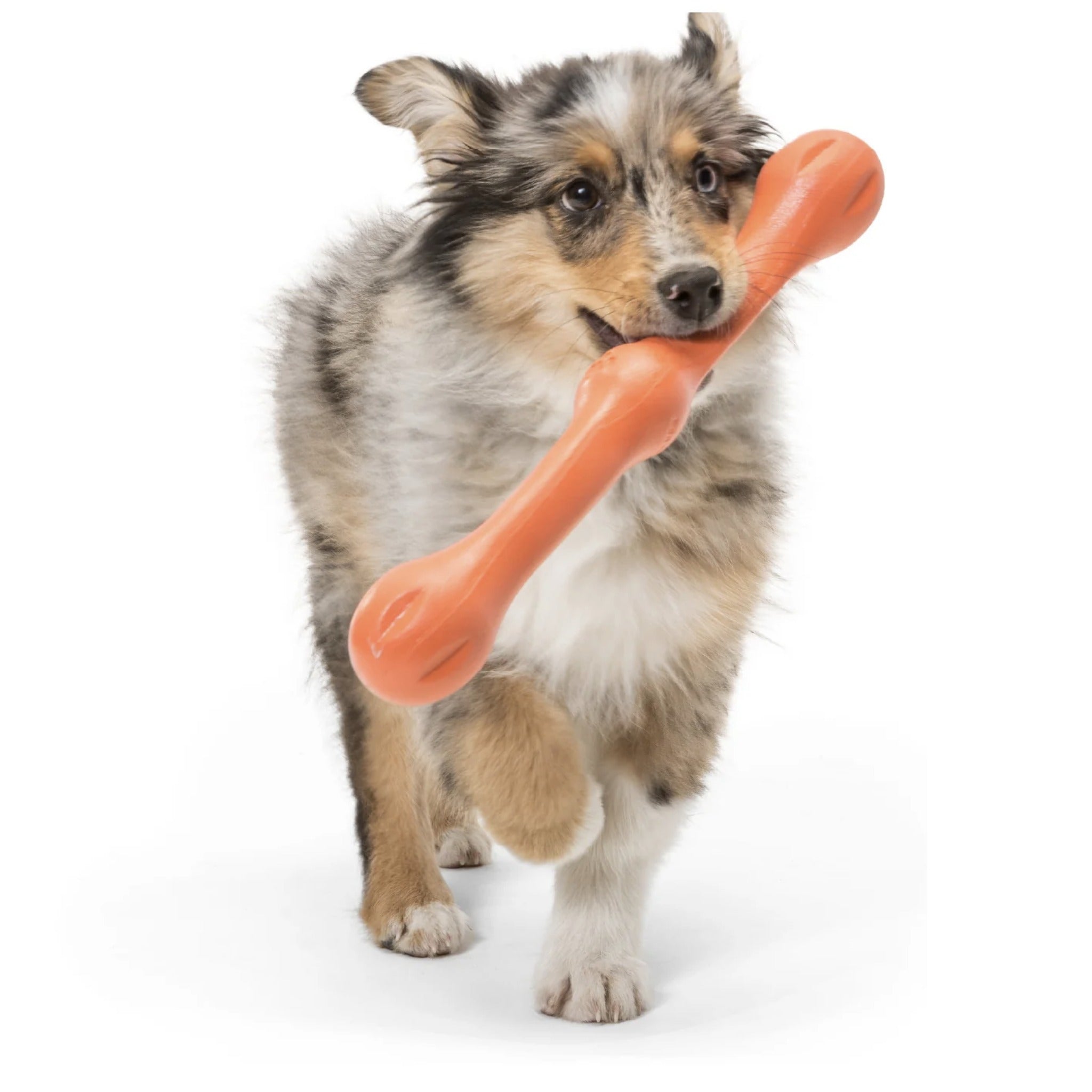 West Paw Zogoflex Zwig, Hundespielzeug - Woofshack