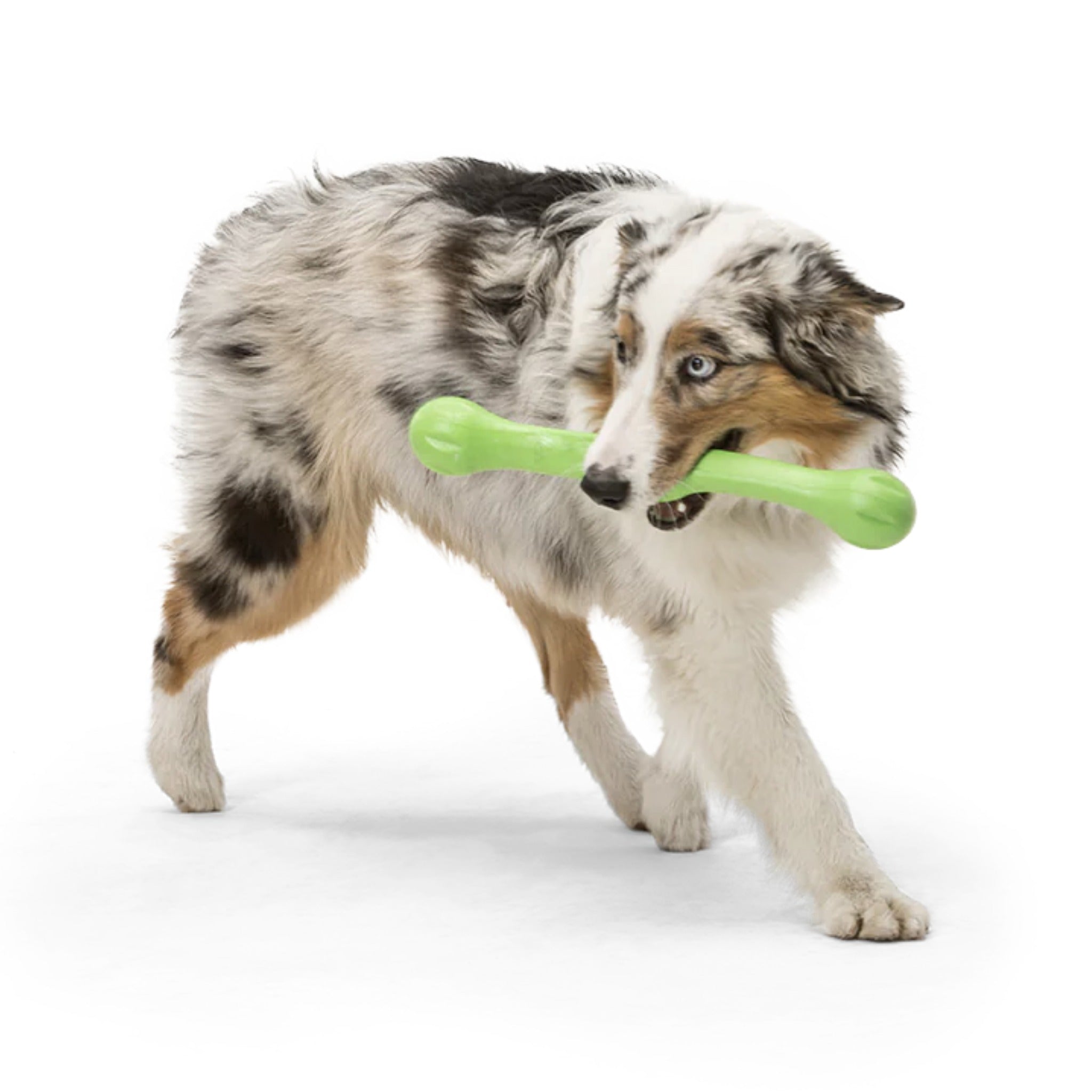 West Paw Zogoflex Zwig, Hundespielzeug - Woofshack