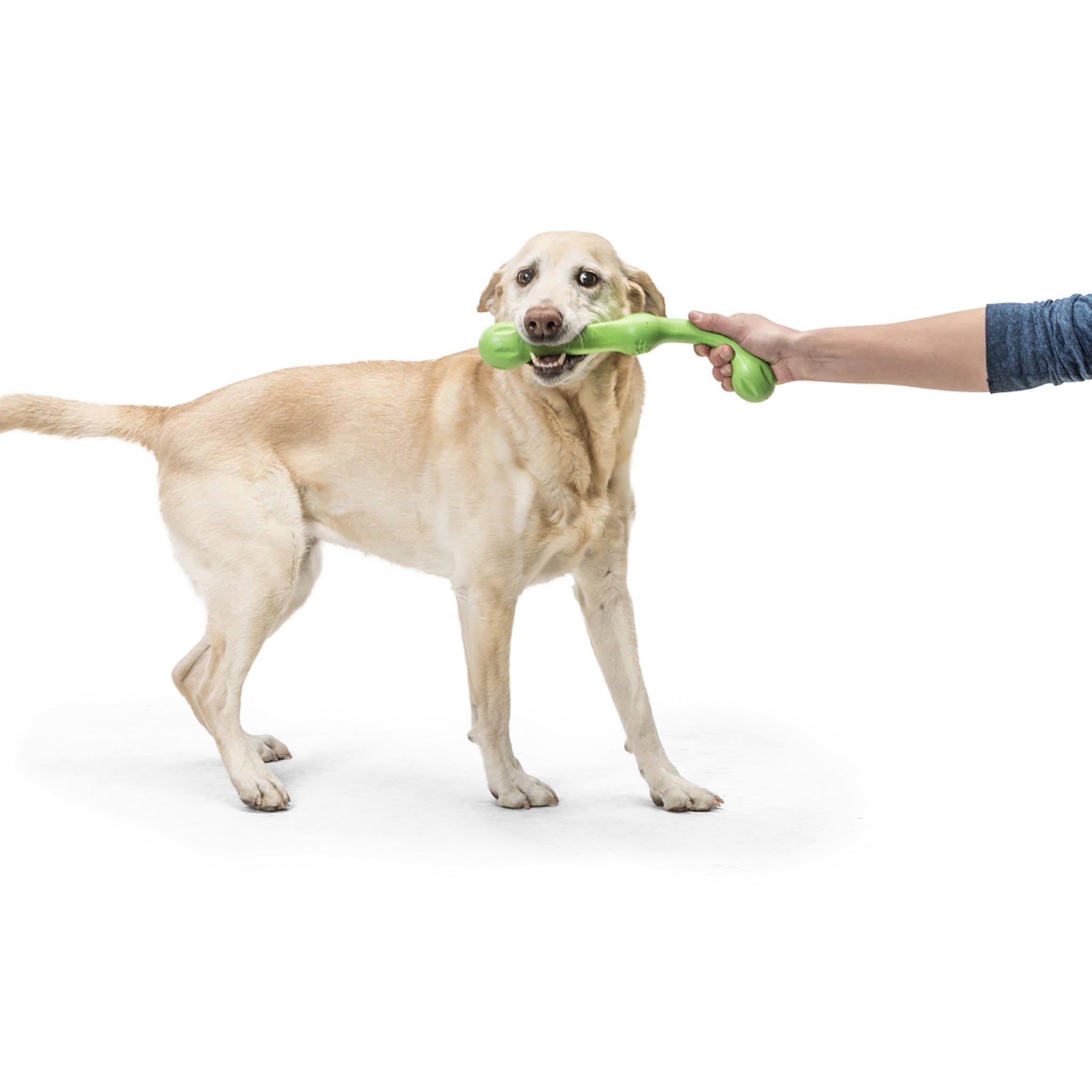 West Paw Zogoflex Zwig, Hundespielzeug - Woofshack