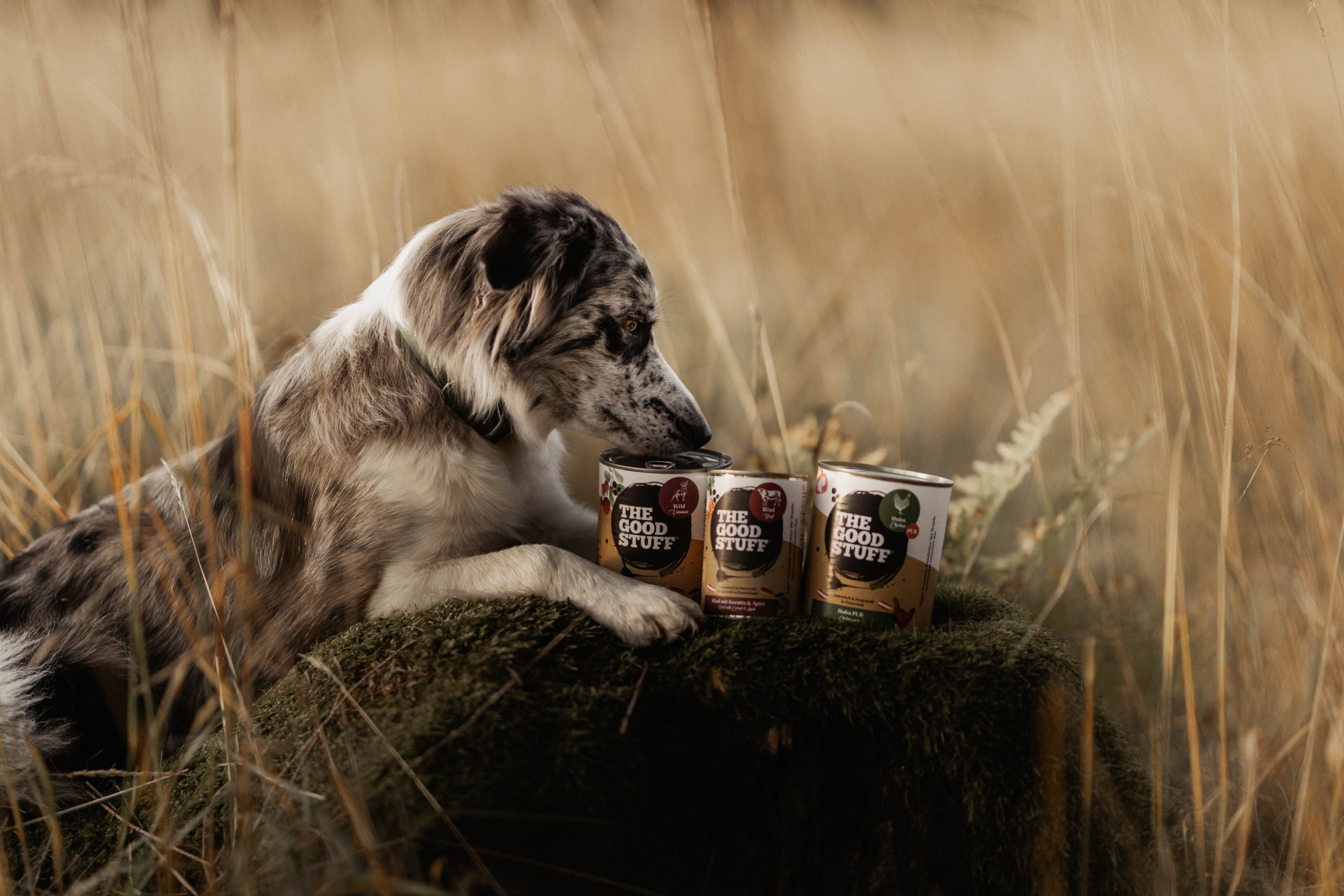 Woofshack - Hundefutter, Hundebedarf und Katzenfutter online bestellen.