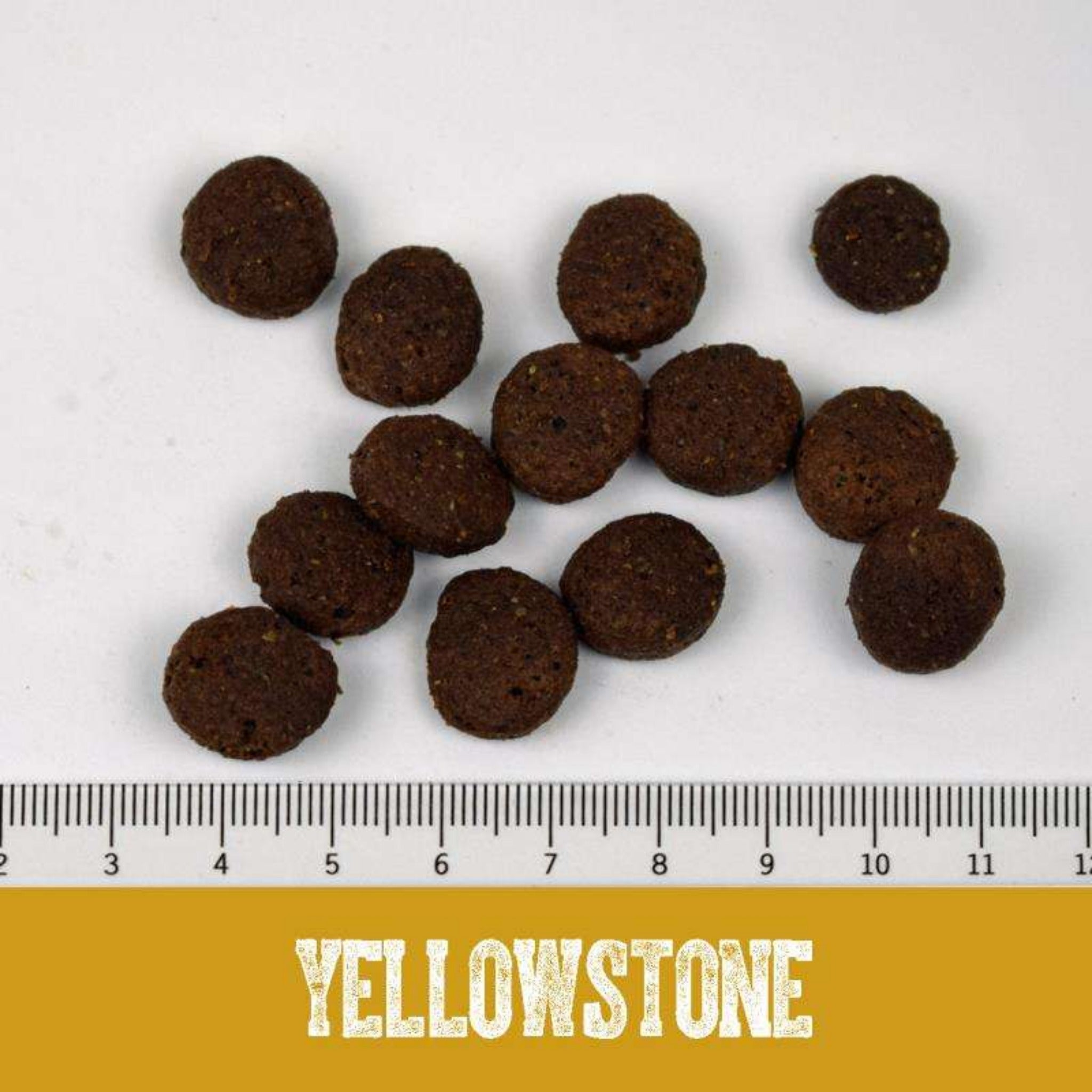 Black Canyon Yellowstone - Singleprotein Pferd & Süßkartoffel - Woofshack