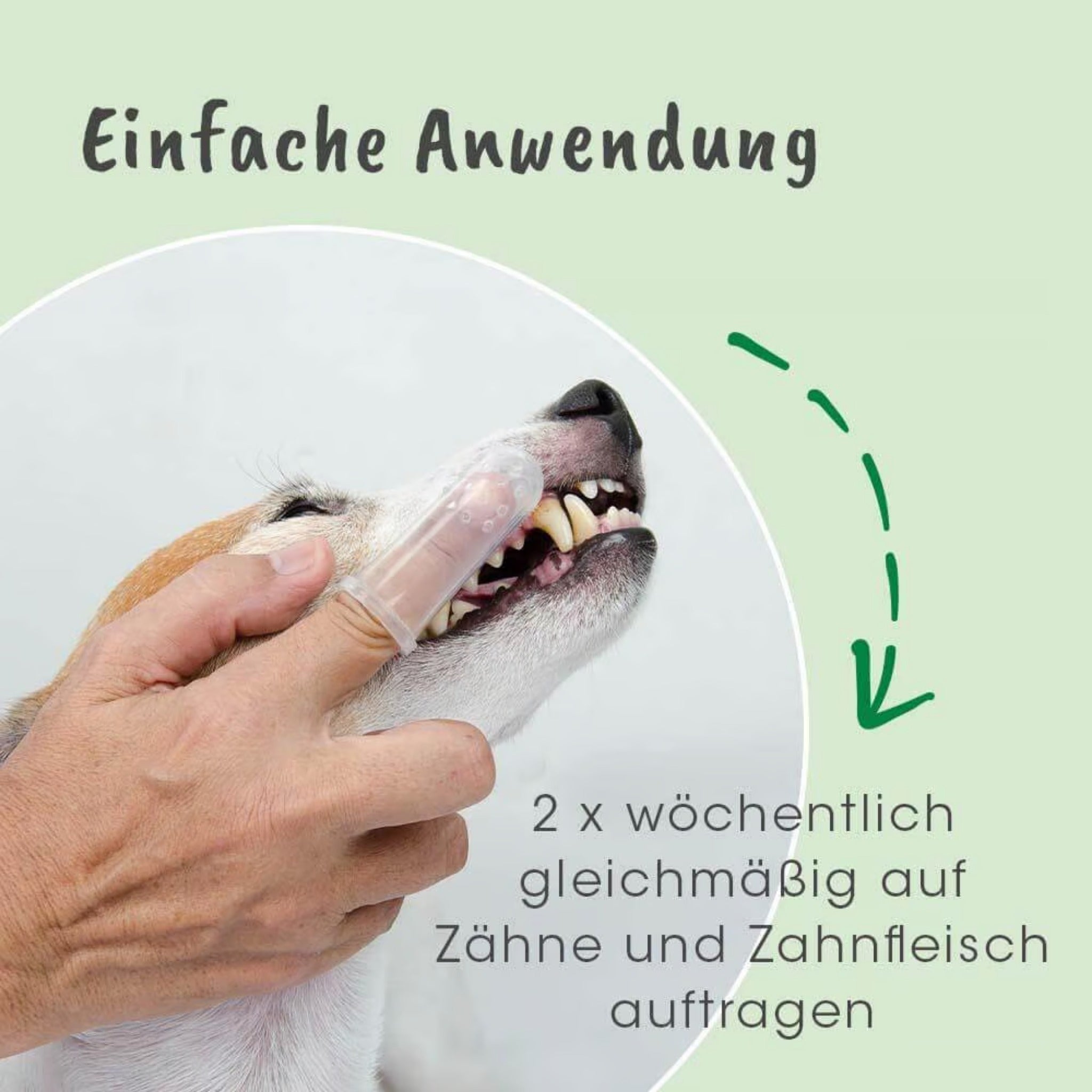 cdVet dentaVet Gel für Hunde - Woofshack