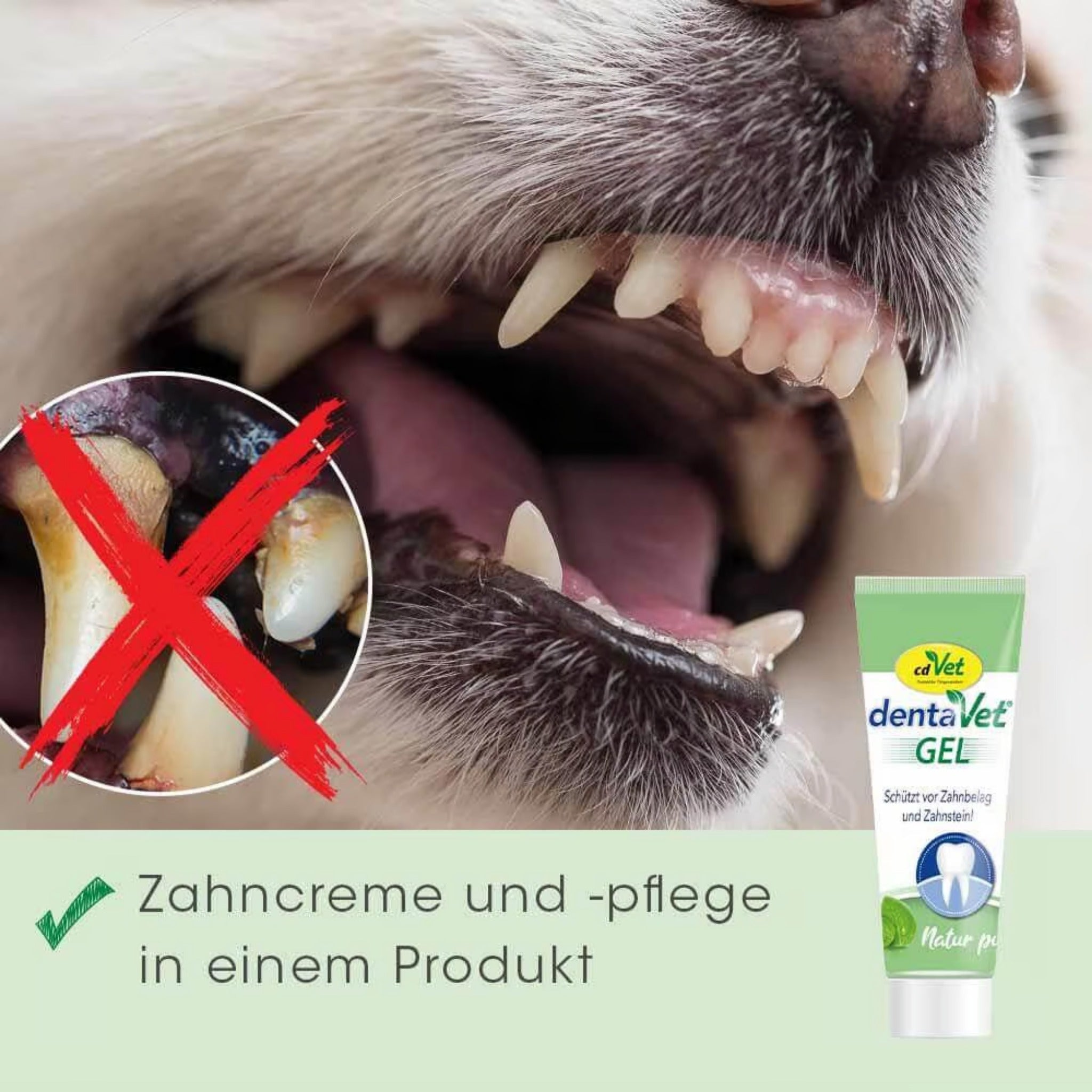 cdVet dentaVet Gel für Hunde - Woofshack