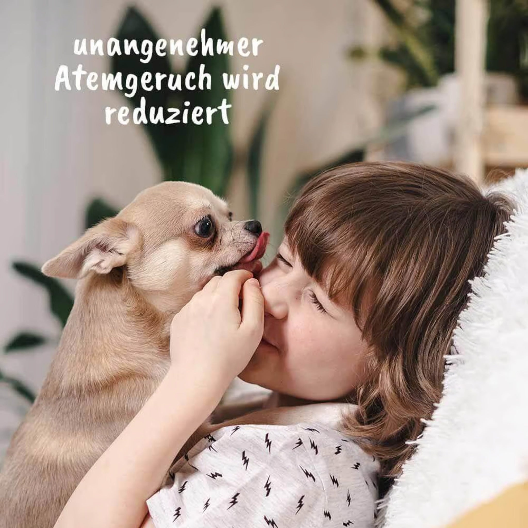 cdVet dentaVet Gel für Hunde - Woofshack