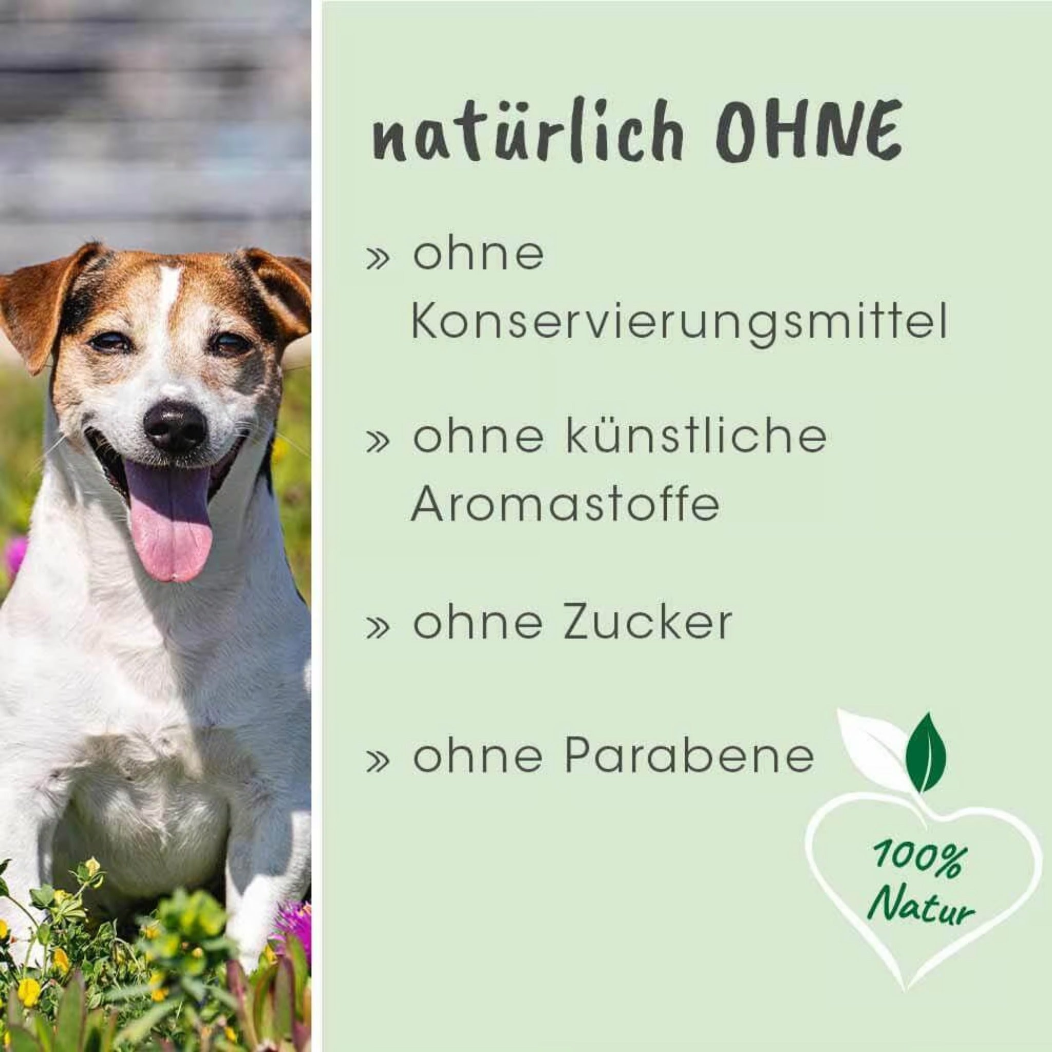 cdVet dentaVet Gel für Hunde - Woofshack