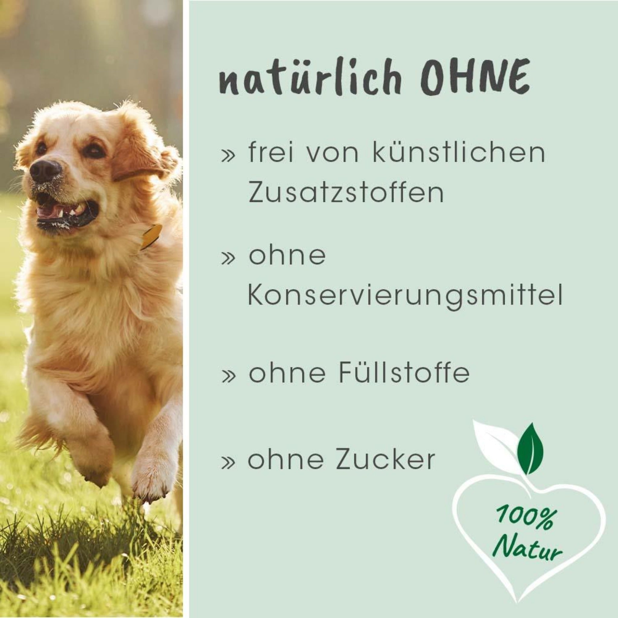 cdVet Magenschutz für Hunde - Woofshack