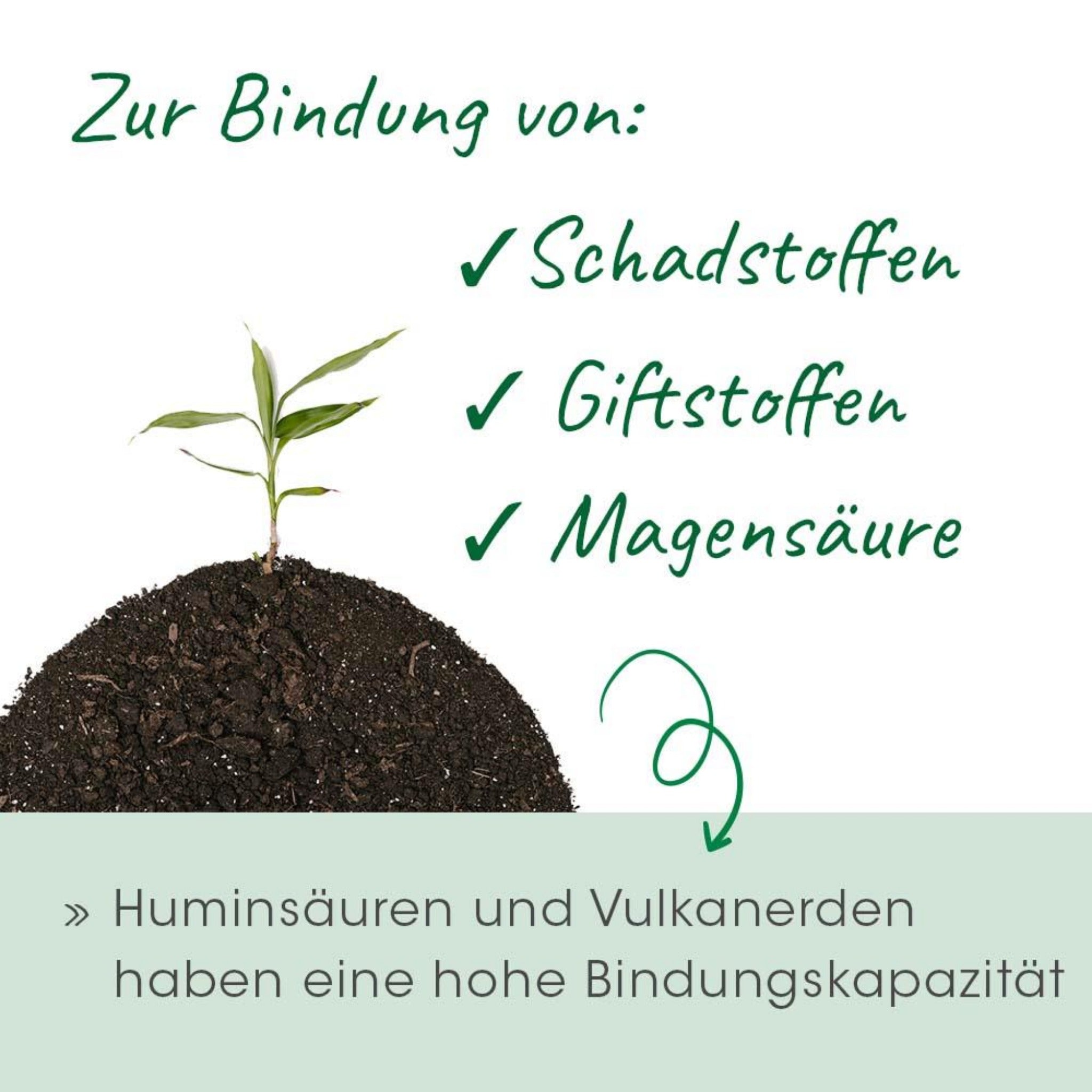 cdVet Magenschutz für Hunde - Woofshack