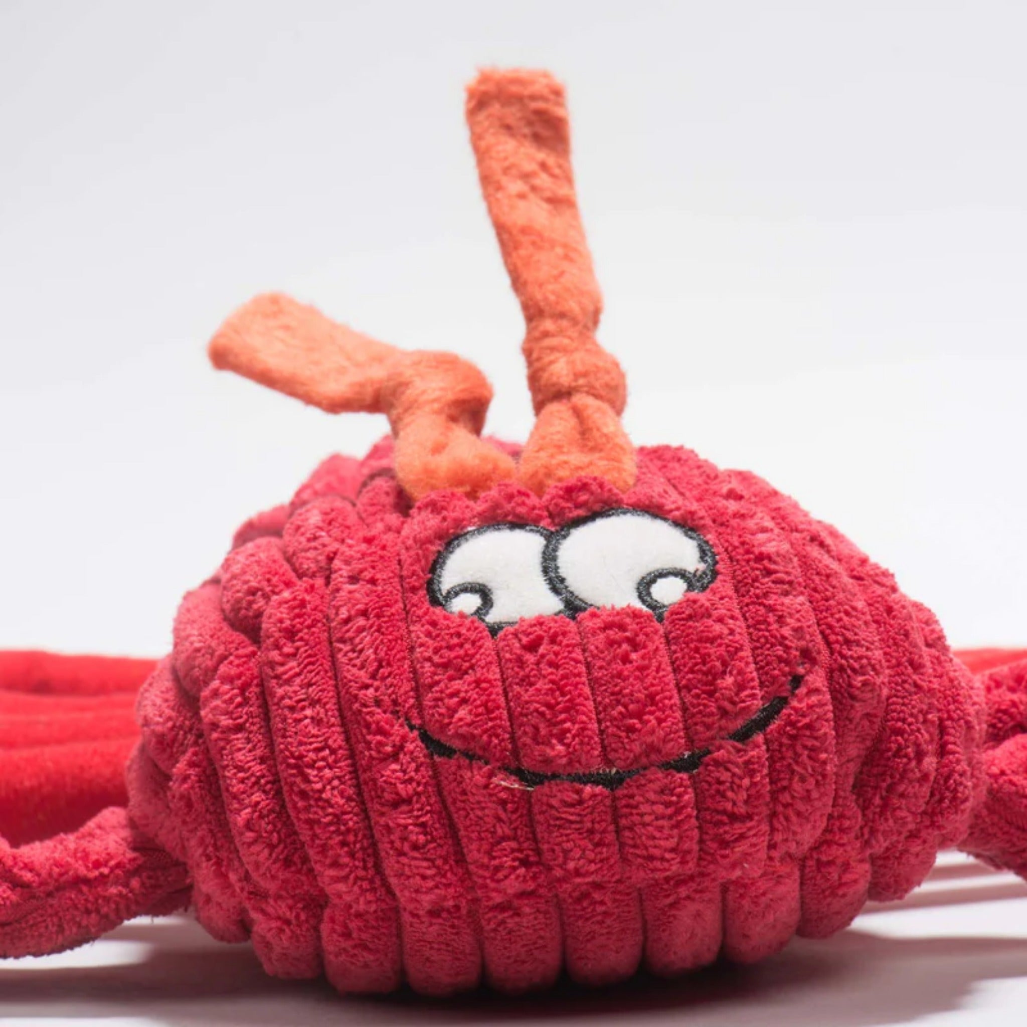 Hugglehounds McCracken Lobsta Knottie, Hundespielzeug - Woofshack