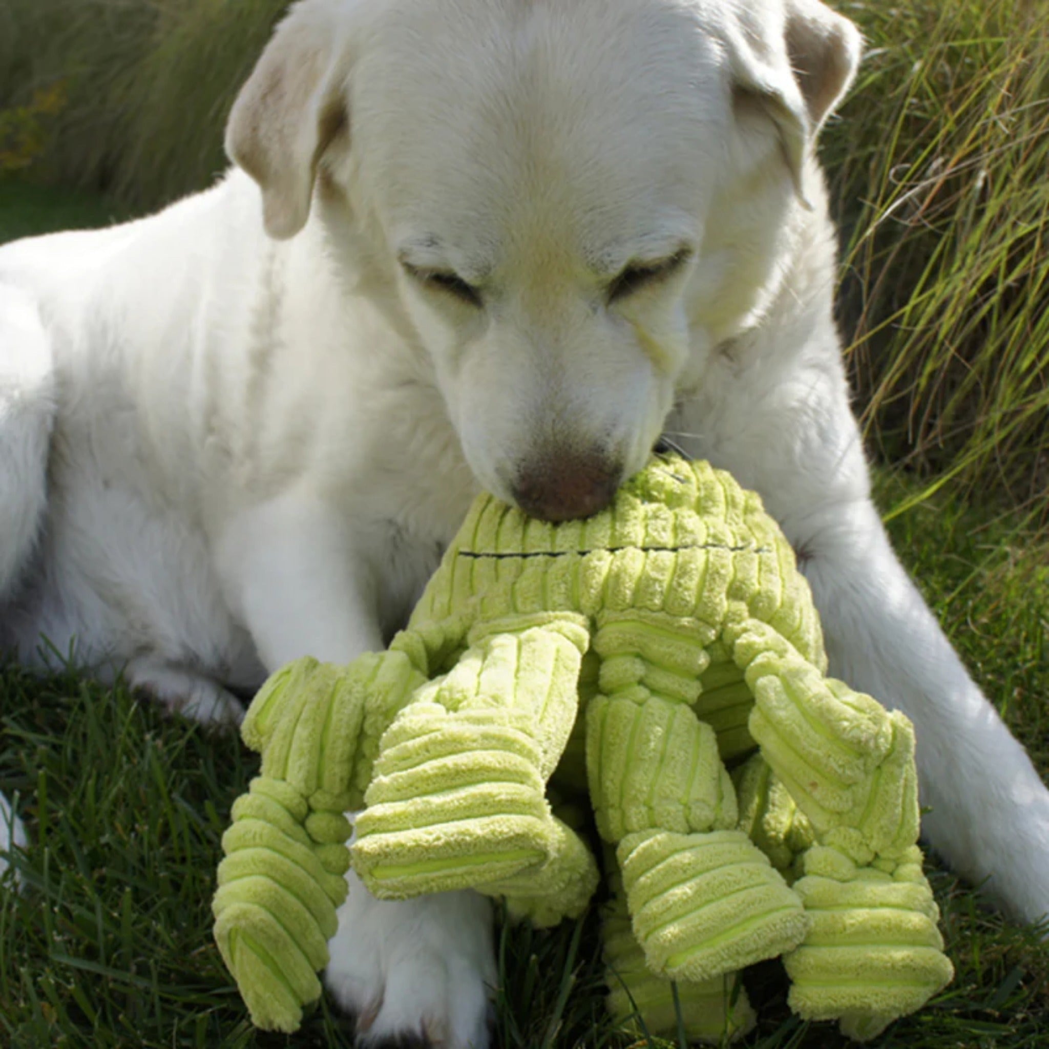 Hugglehounds Octavie Octopus Knottie, Hundespielzeug - Woofshack