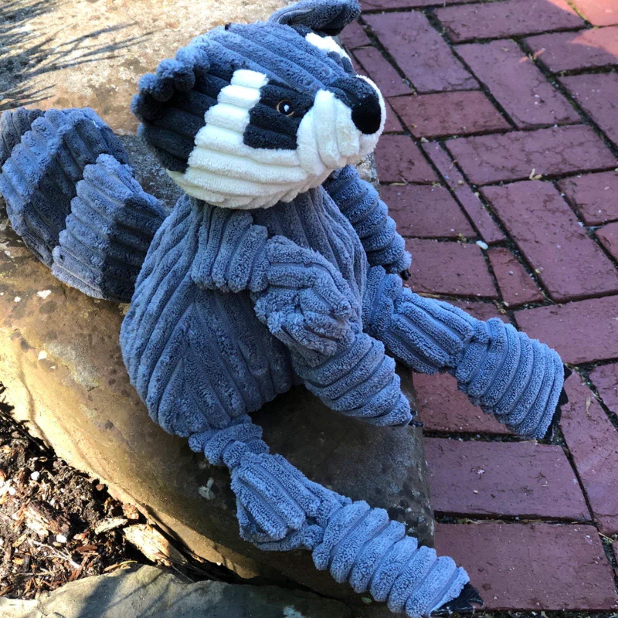 Hugglehounds Reggie Raccoon Knottie, Hundespielzeug - Woofshack
