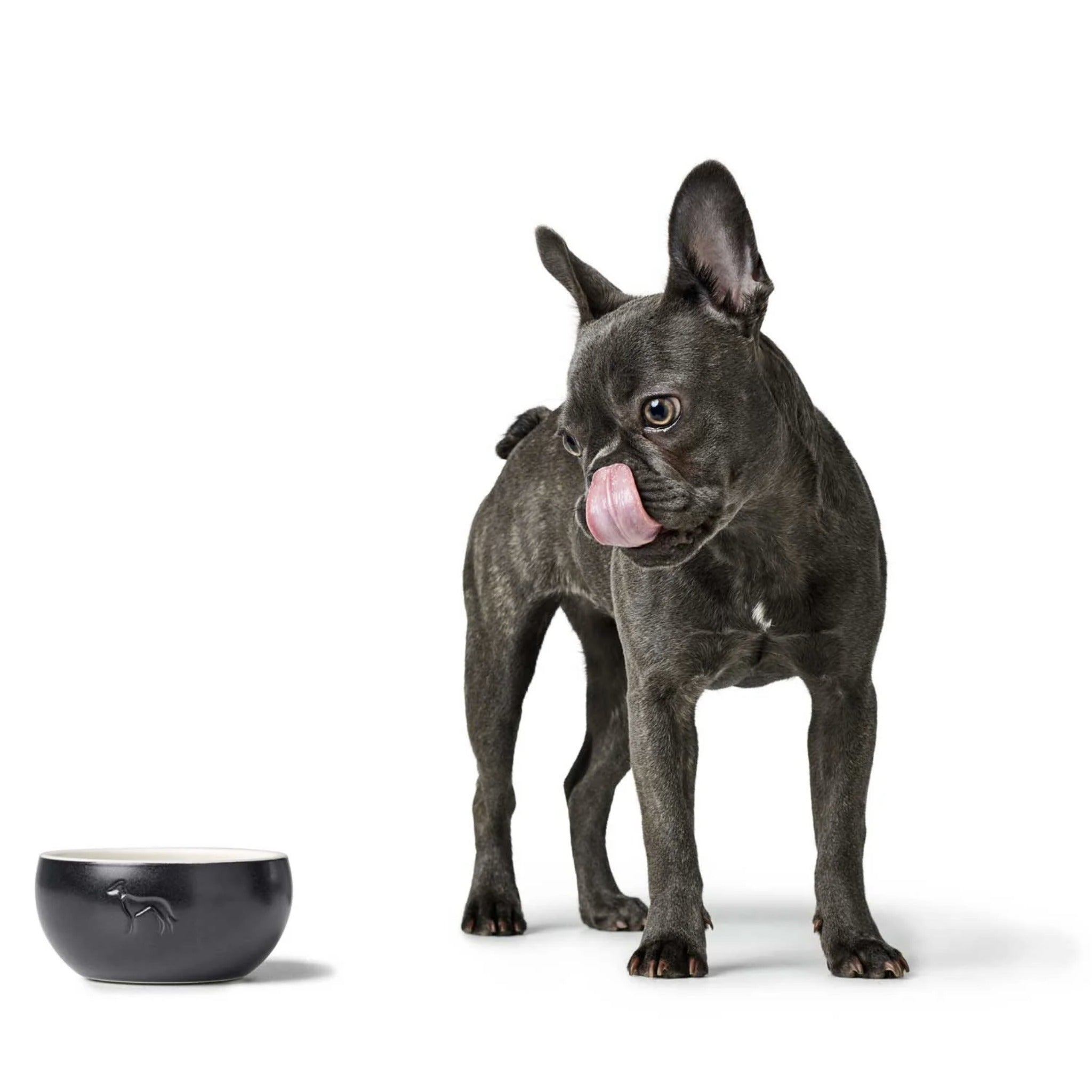 Hunter Keramik Hundenapf Lund - Woofshack