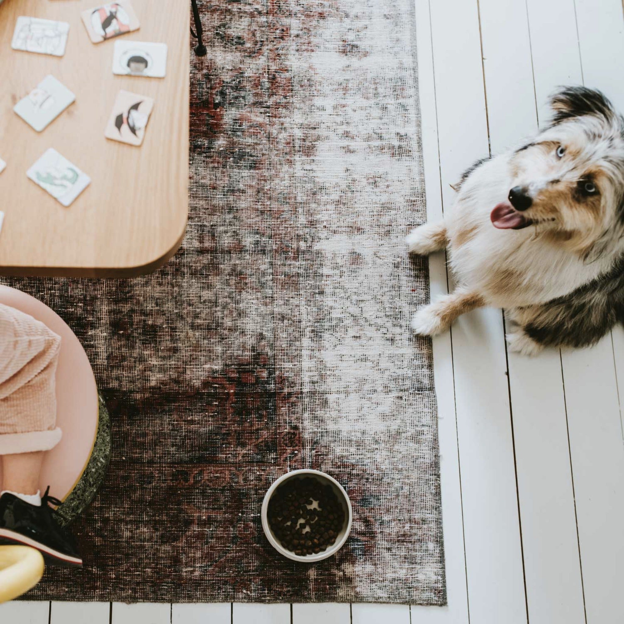 Hunter Keramik Hundenapf Lund - Woofshack
