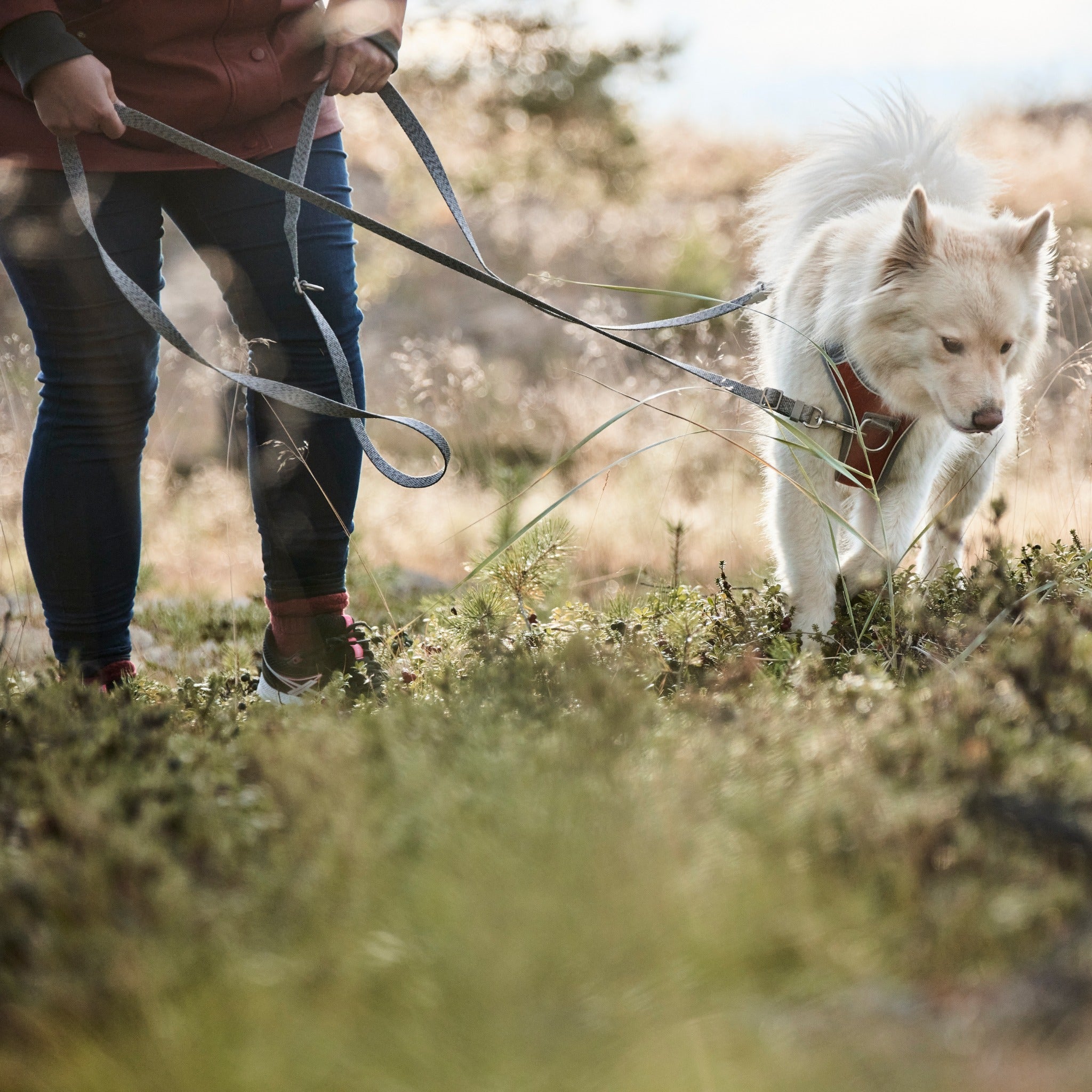 Hurtta Multi-Long Leash ECO, Hundeleine - Woofshack