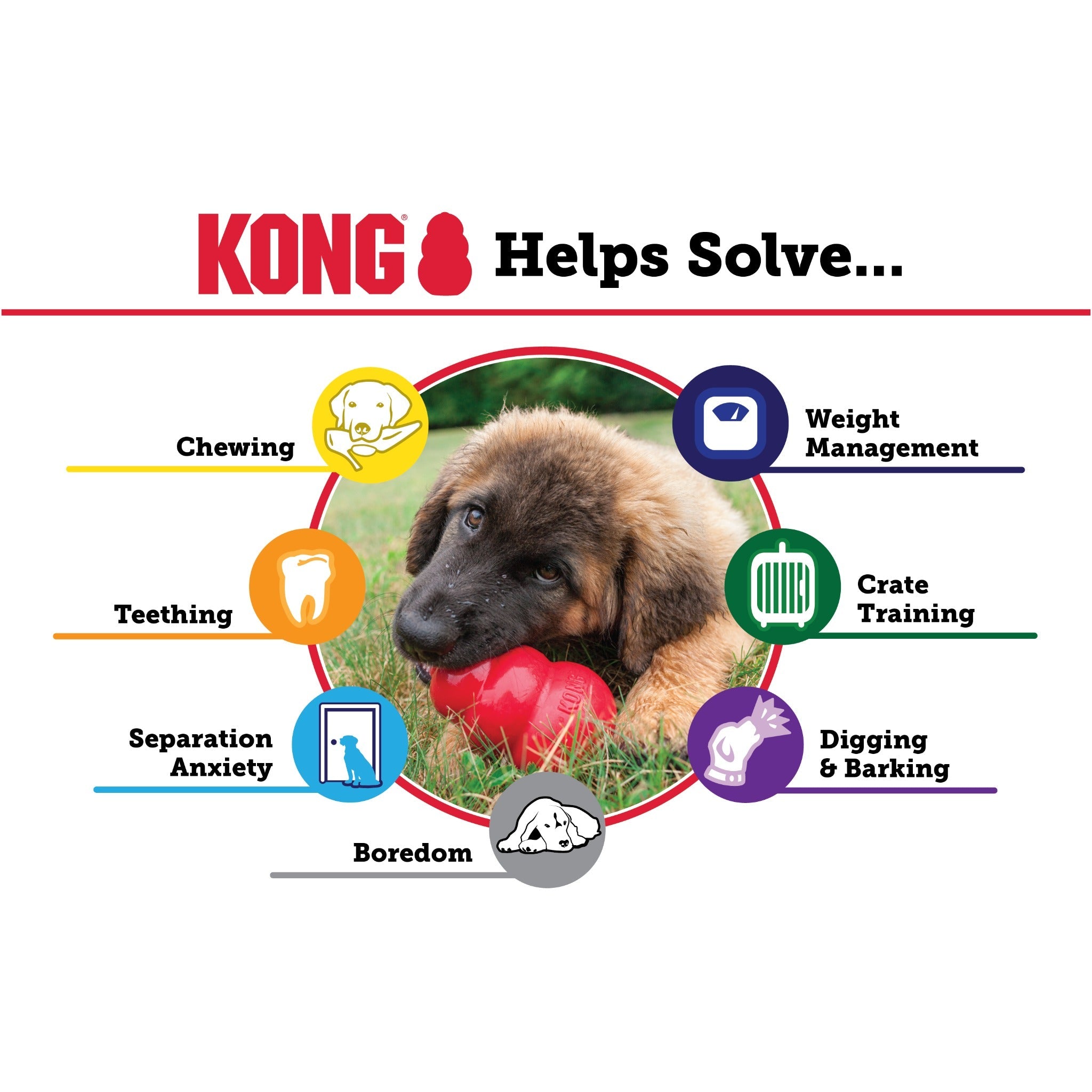 Kong Classic Kauspielzeug, Hundespielzeug - Woofshack