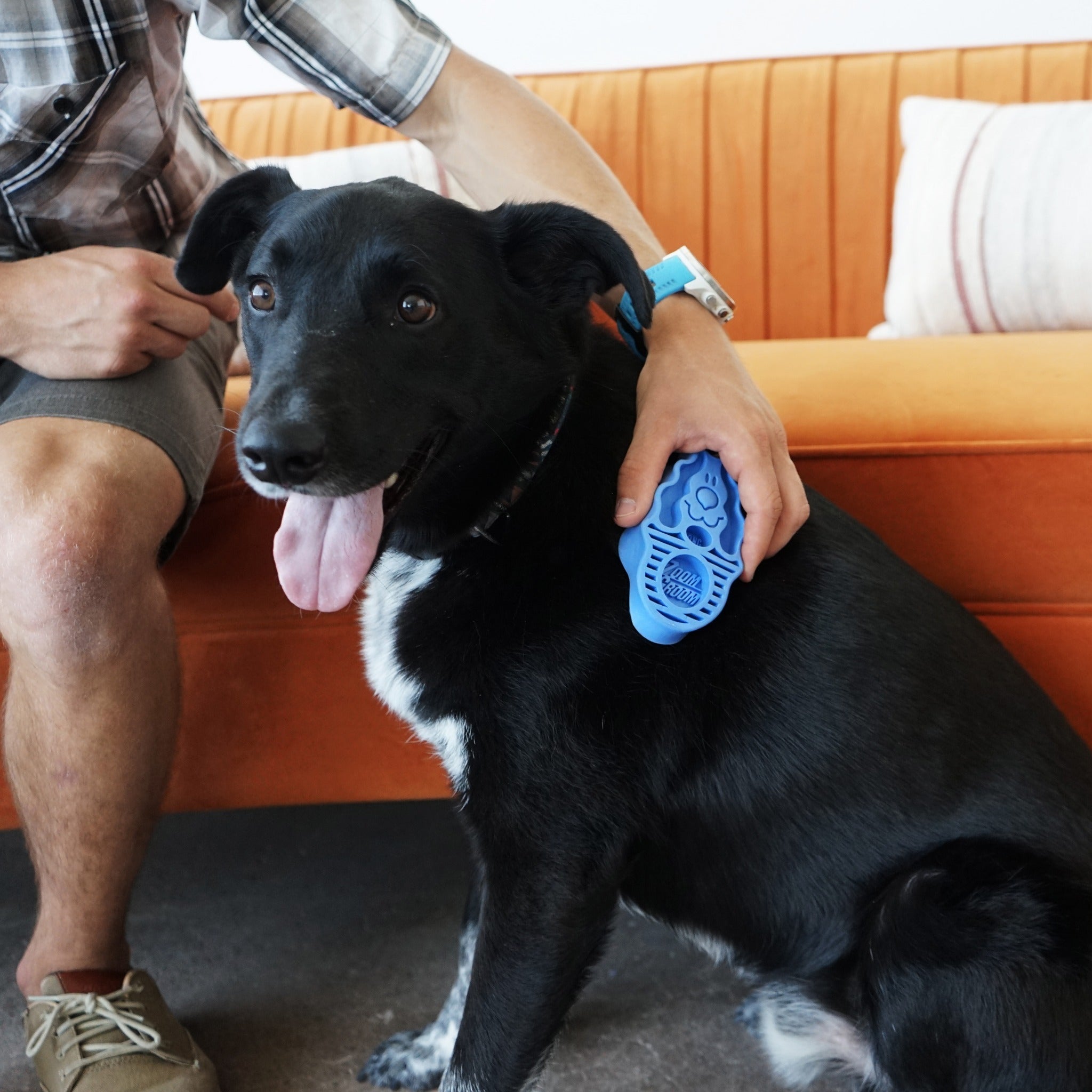 KONG ZoomGroom™ Hundebürste - Woofshack