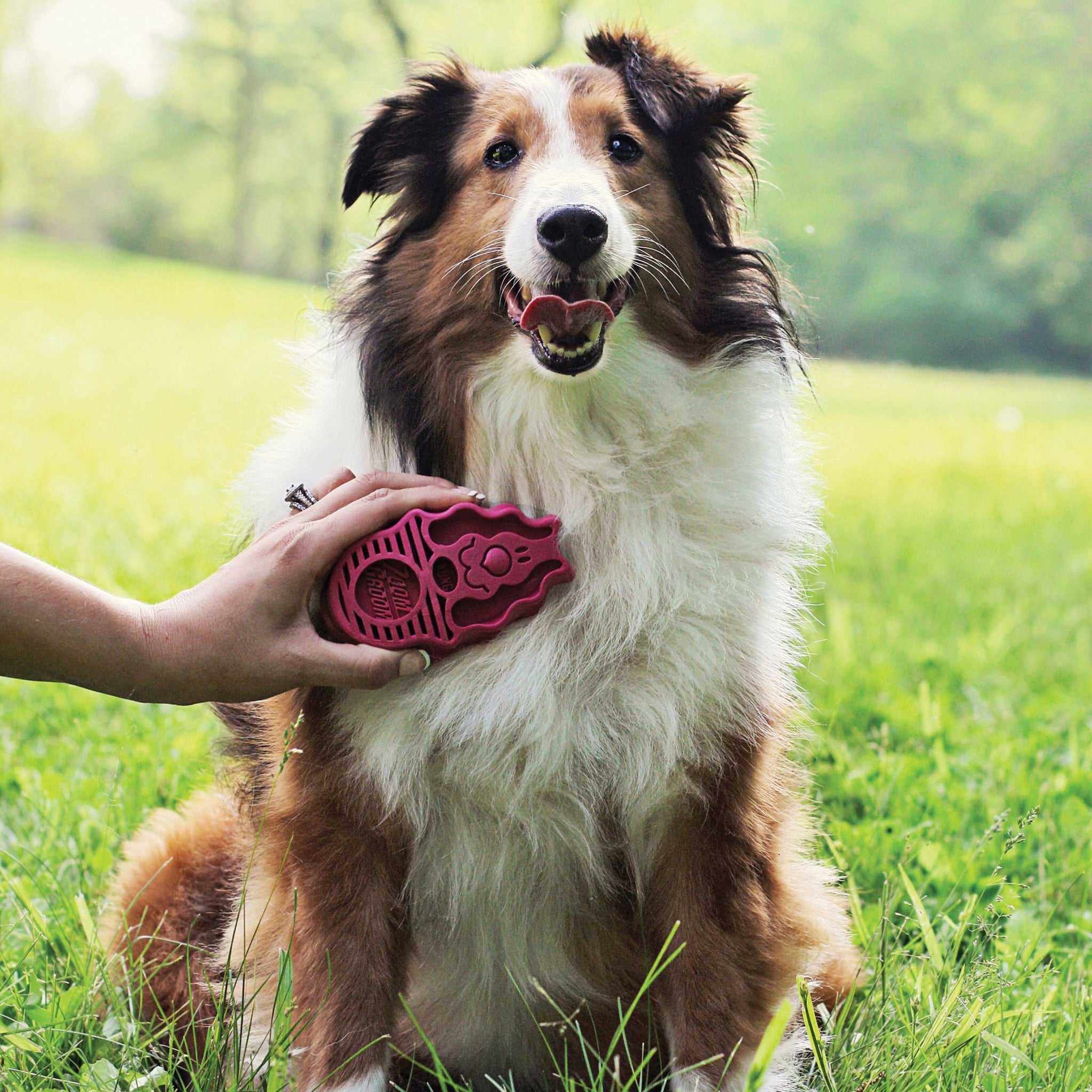 KONG ZoomGroom™ Hundebürste - Woofshack