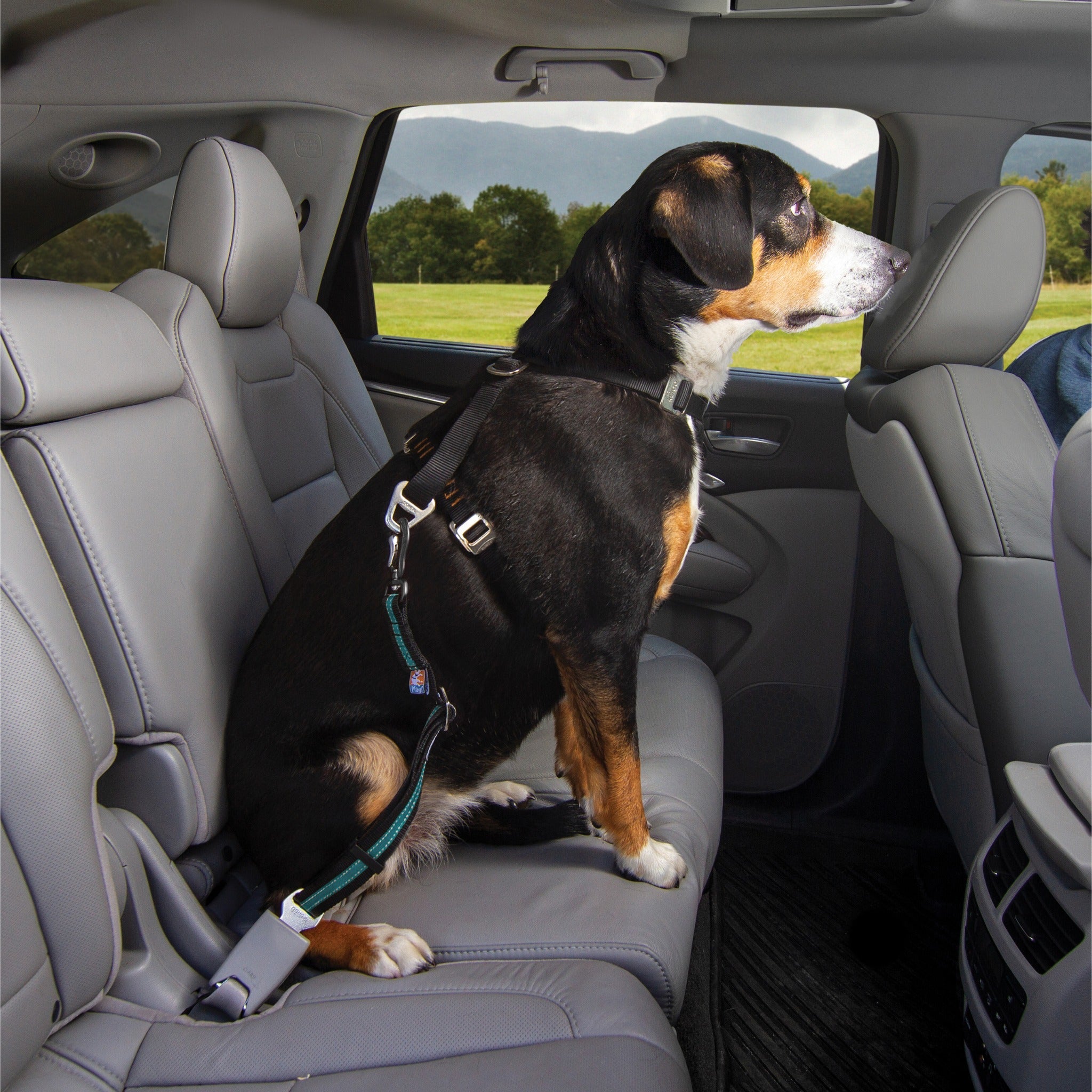 Kurgo Direct to Seatbelt Swivel Tether, Hundeautogurt - Woofshack
