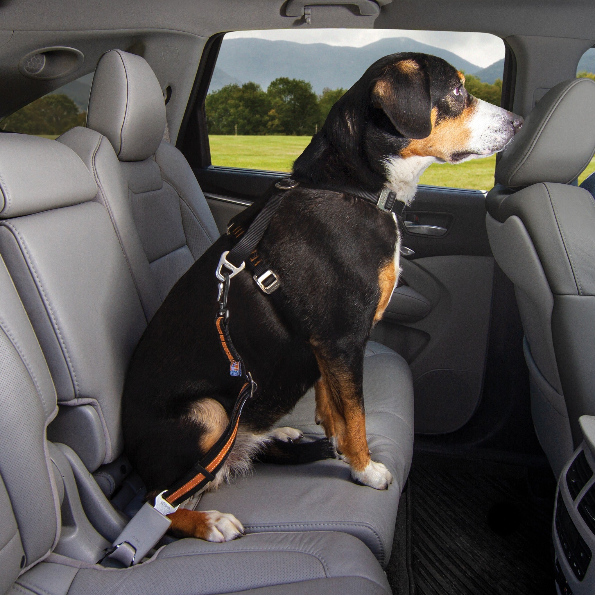Kurgo Direct to Seatbelt Swivel Tether, Hundeautogurt - Woofshack