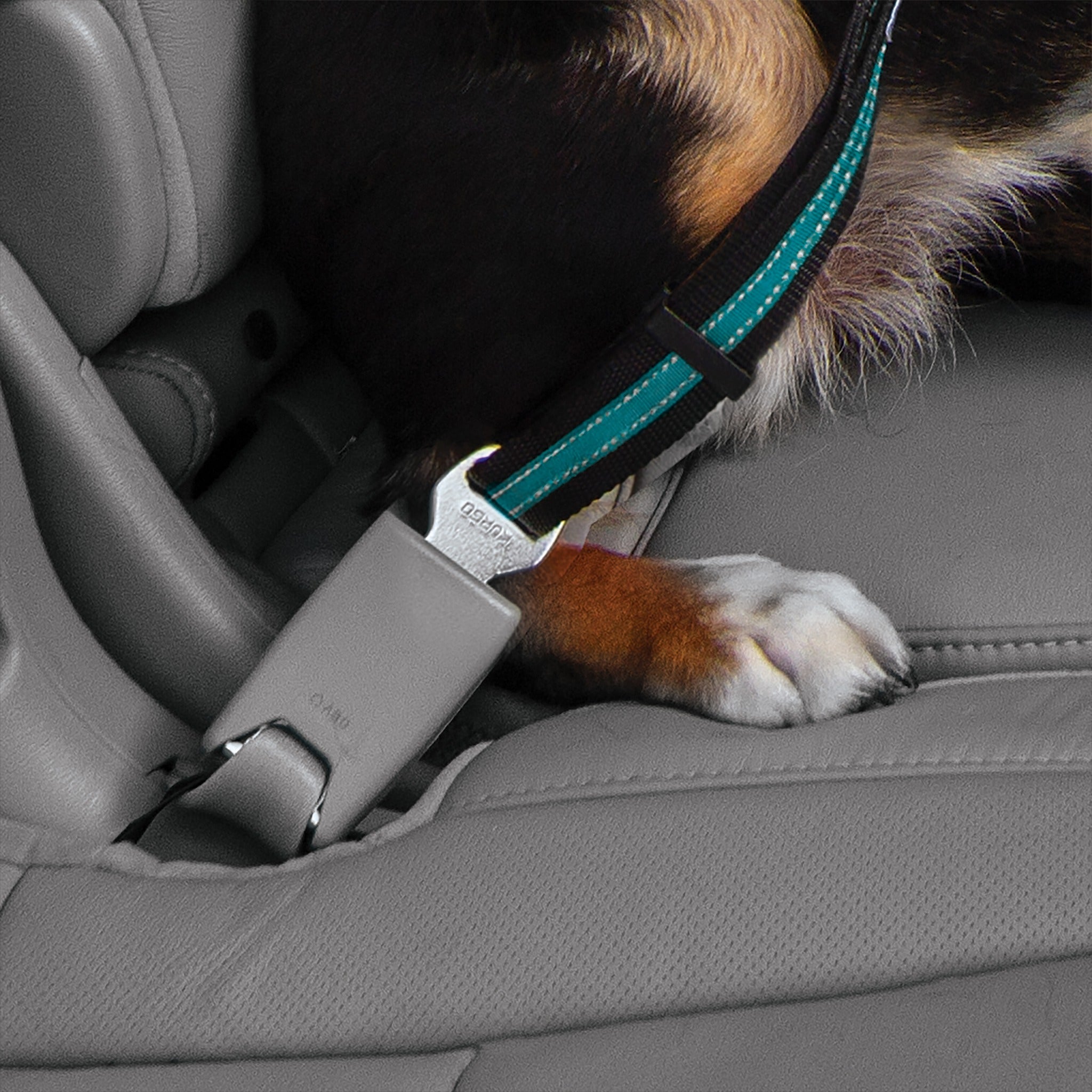 Kurgo Direct to Seatbelt Swivel Tether, Hundeautogurt - Woofshack