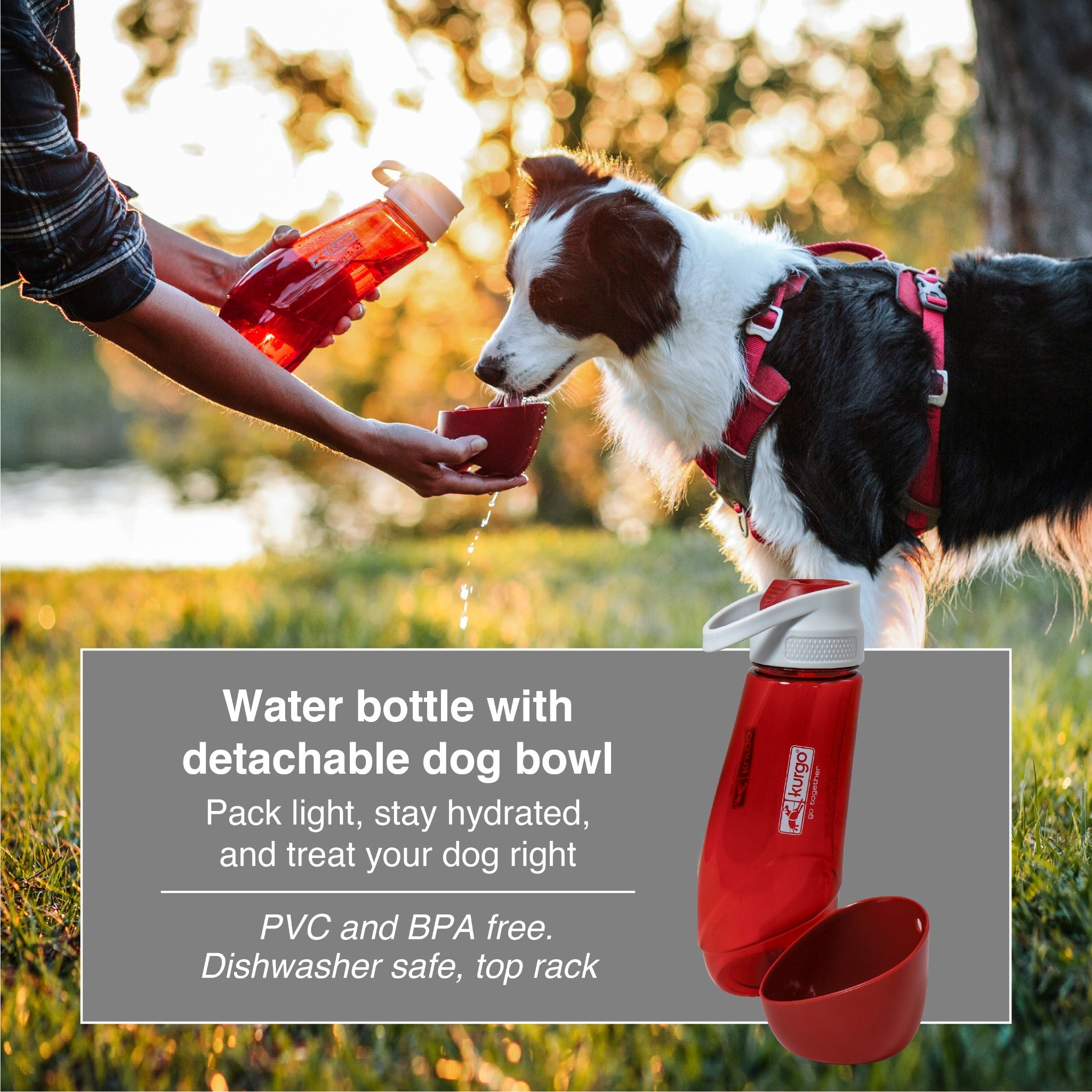 Kurgo Gourd Water Bottle & Bowl, Hundetrinkflasche - Woofshack