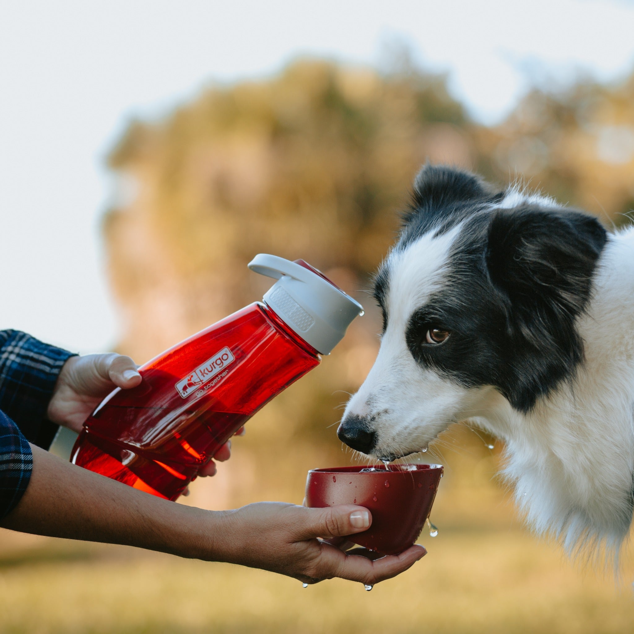 Kurgo Gourd Water Bottle & Bowl, Hundetrinkflasche - Woofshack
