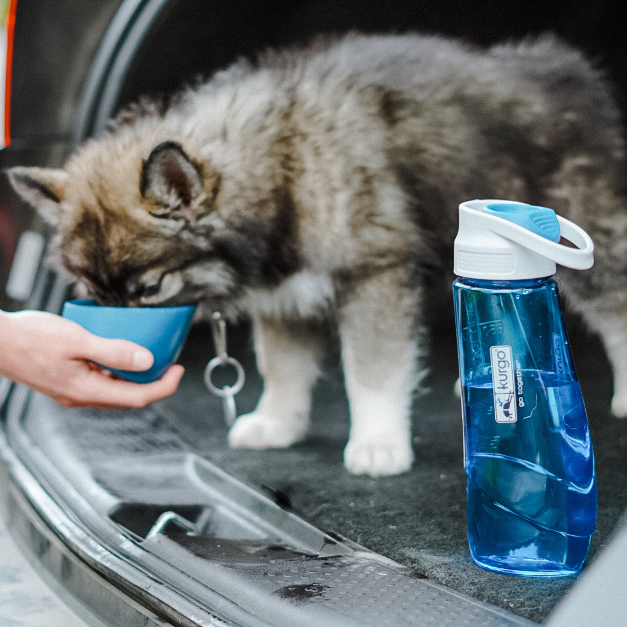 Kurgo Gourd Water Bottle & Bowl, Hundetrinkflasche - Woofshack