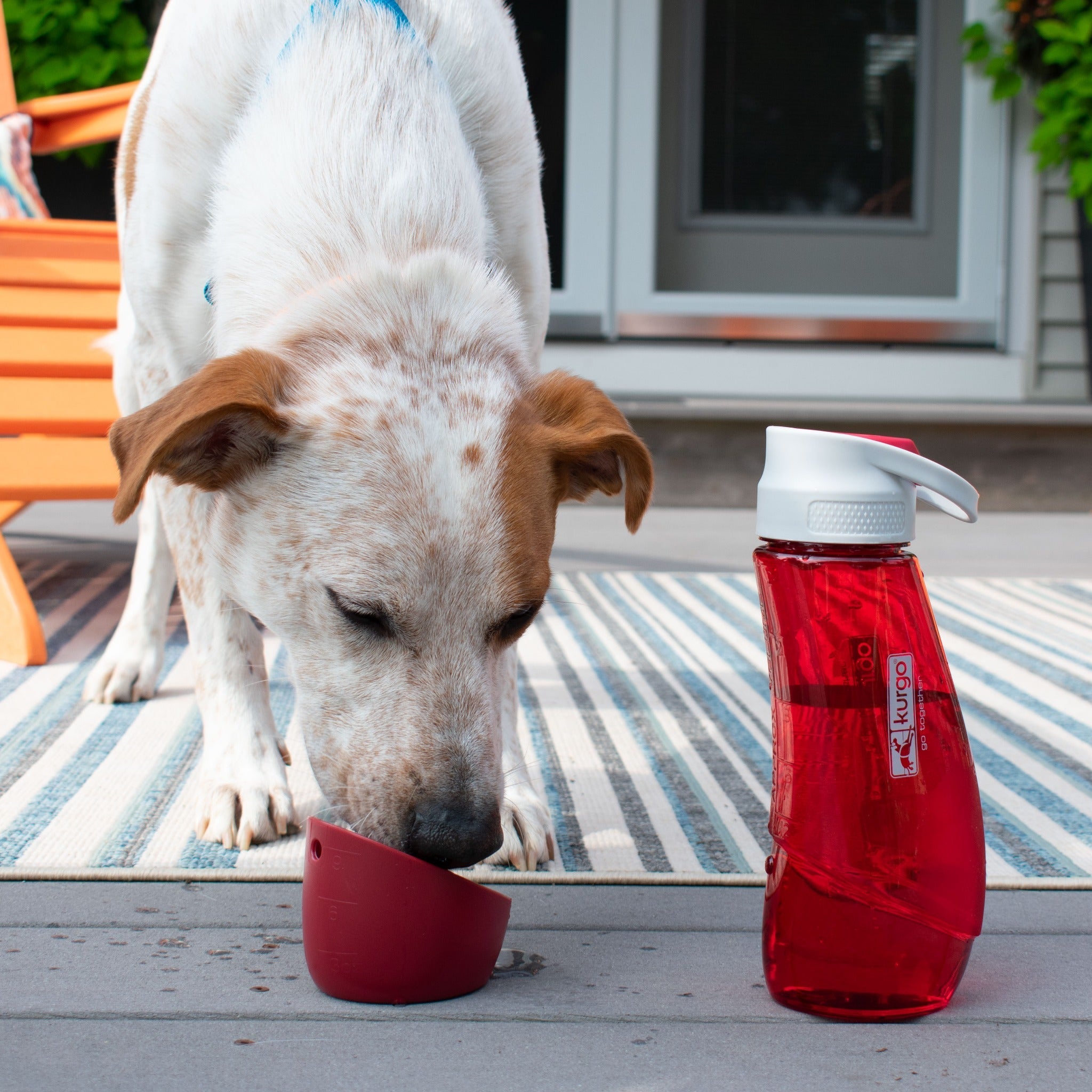 Kurgo Gourd Water Bottle & Bowl, Hundetrinkflasche - Woofshack