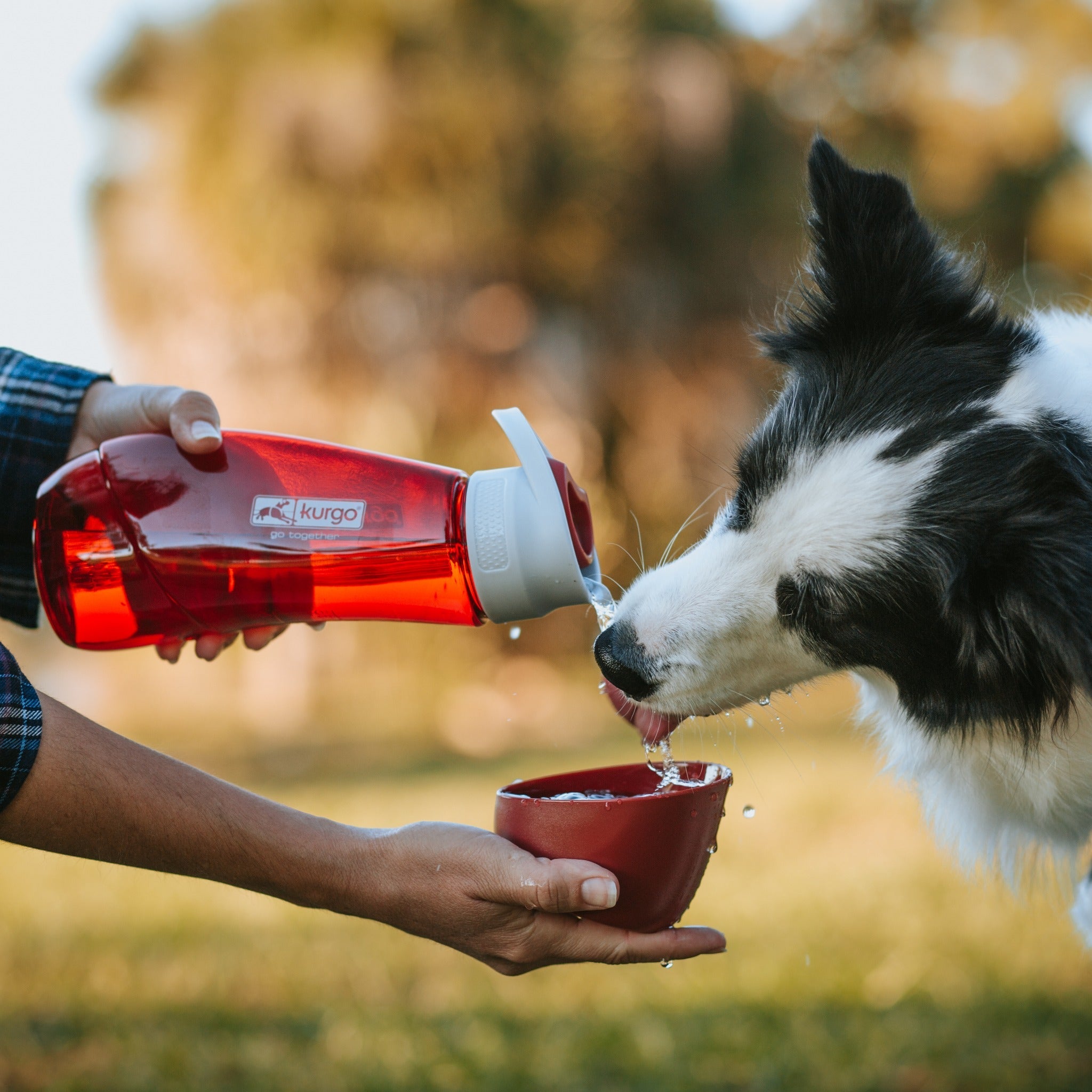 Kurgo Gourd Water Bottle & Bowl, Hundetrinkflasche - Woofshack