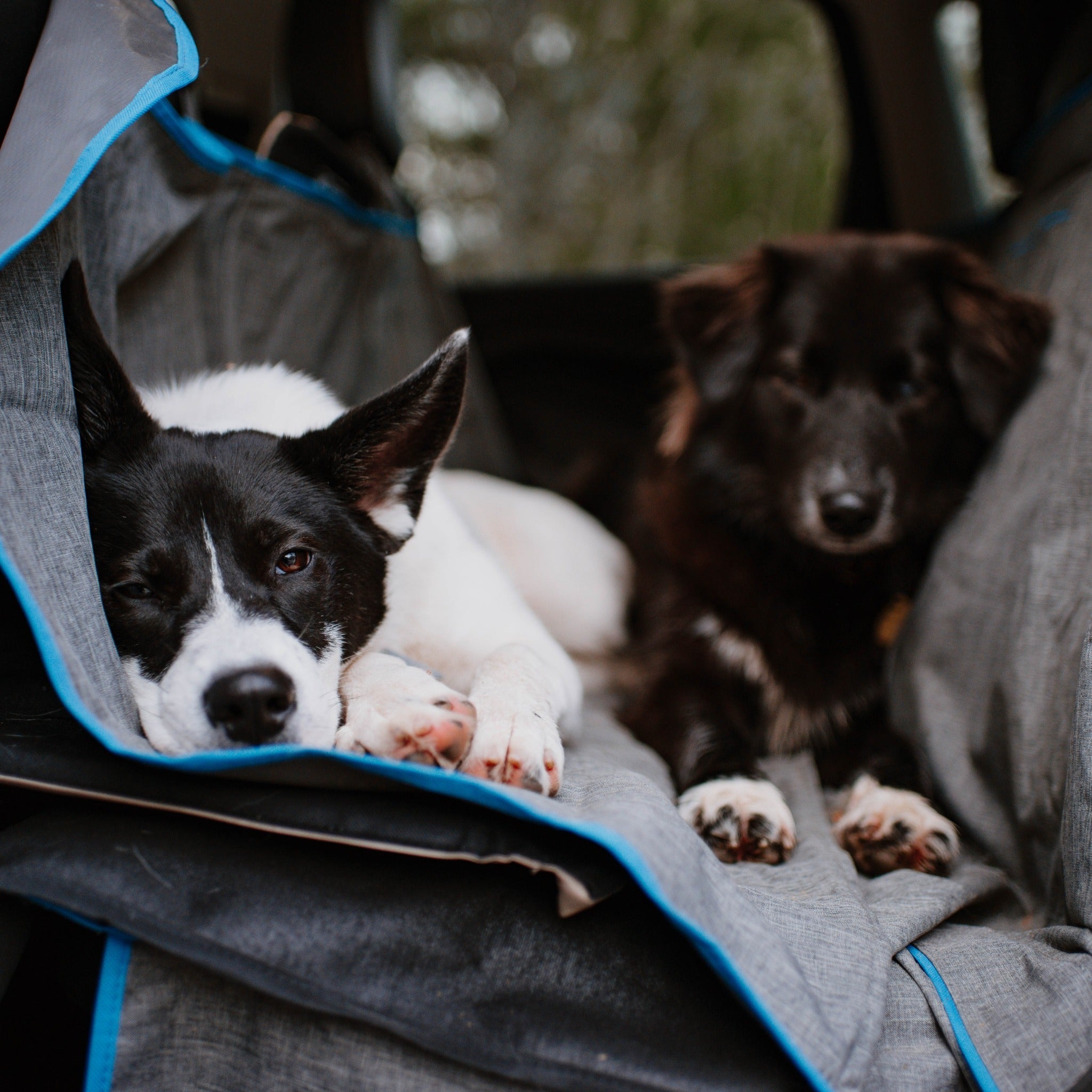 Kurgo Heather Hammock, Hundeautodecke - Woofshack