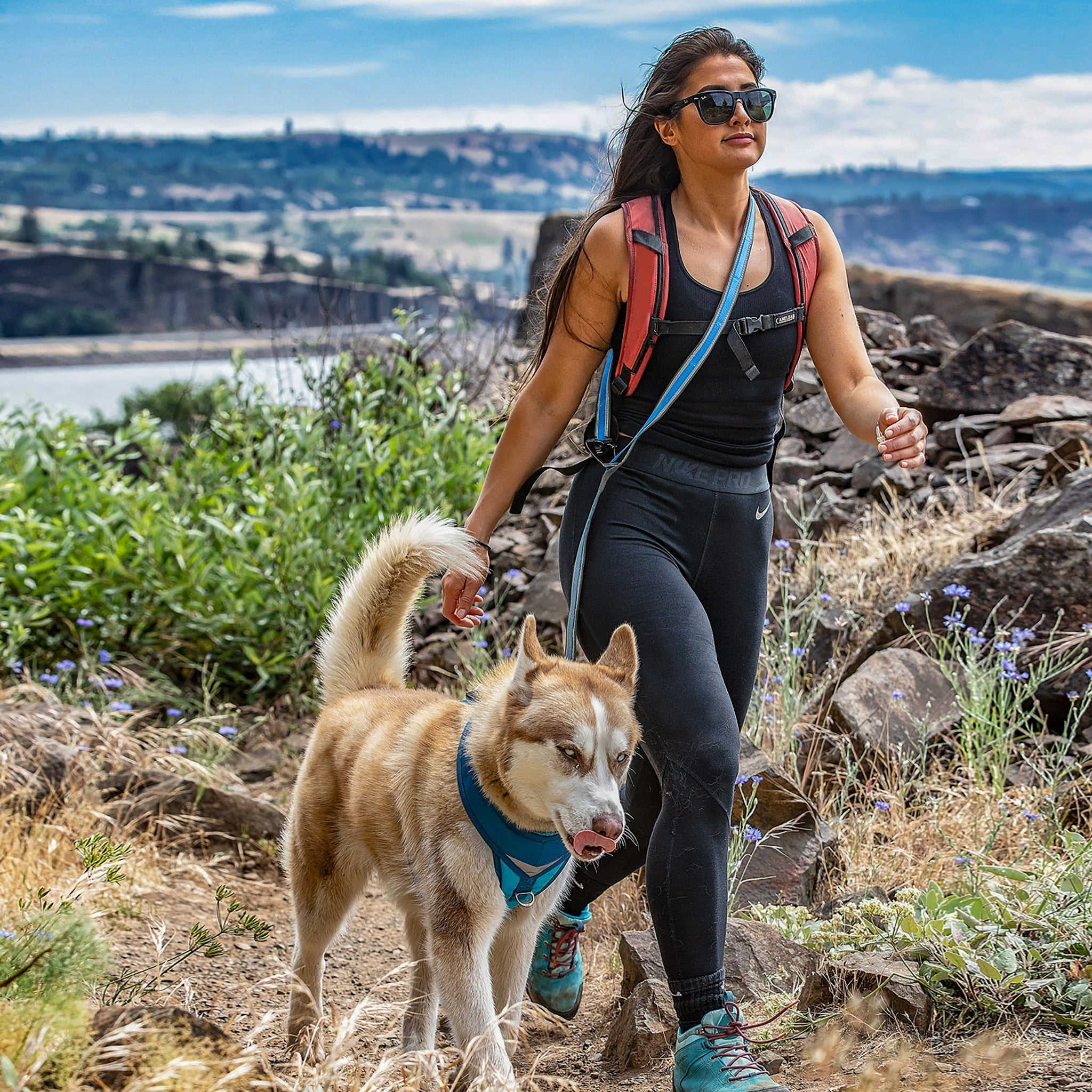 Kurgo Quantum 6-in-1 Dog Leash 2.0, Hundeleine - Woofshack