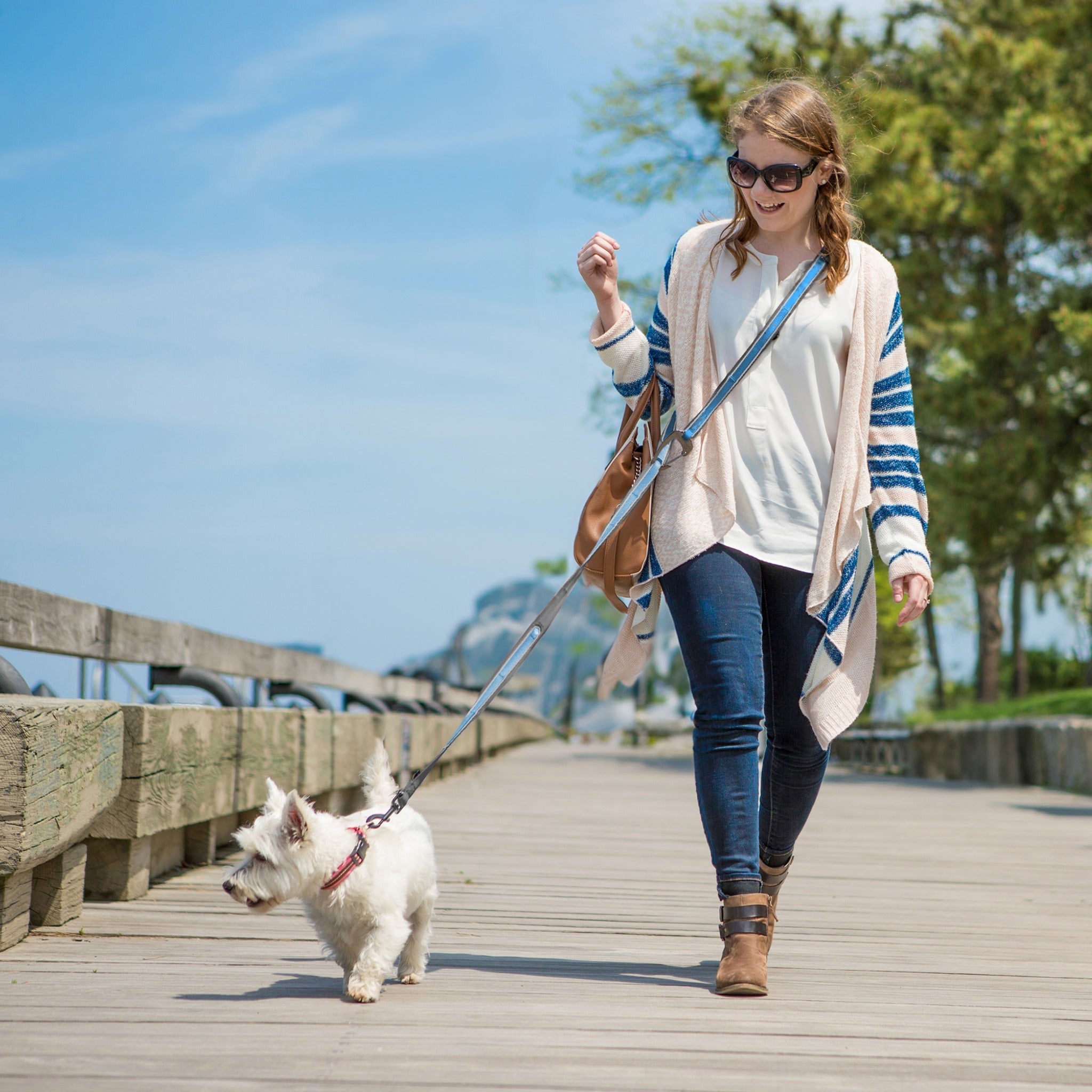 Kurgo Quantum 6-in-1 Dog Leash 2.0, Hundeleine - Woofshack
