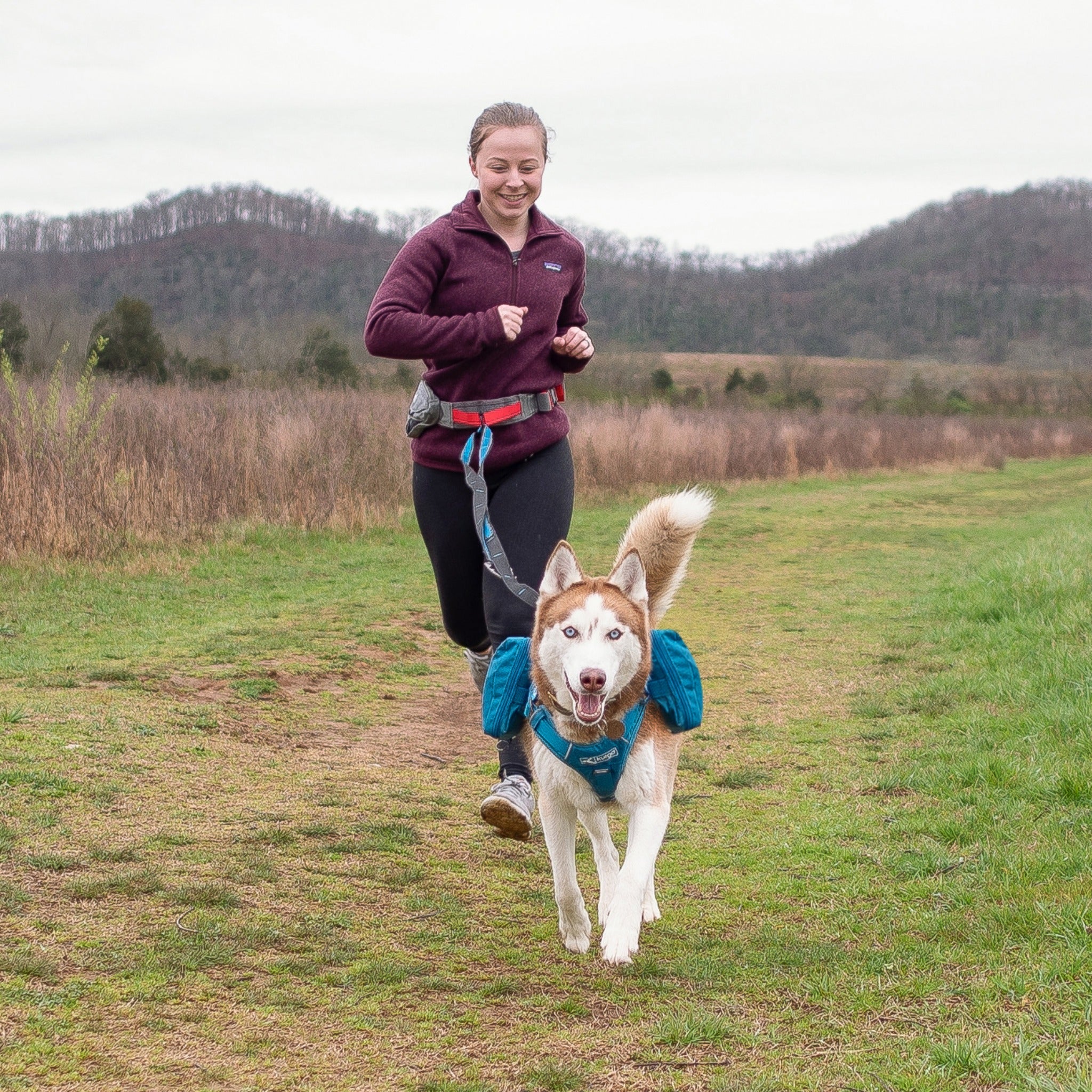 Kurgo Quantum 6-in-1 Dog Leash 2.0, Hundeleine - Woofshack