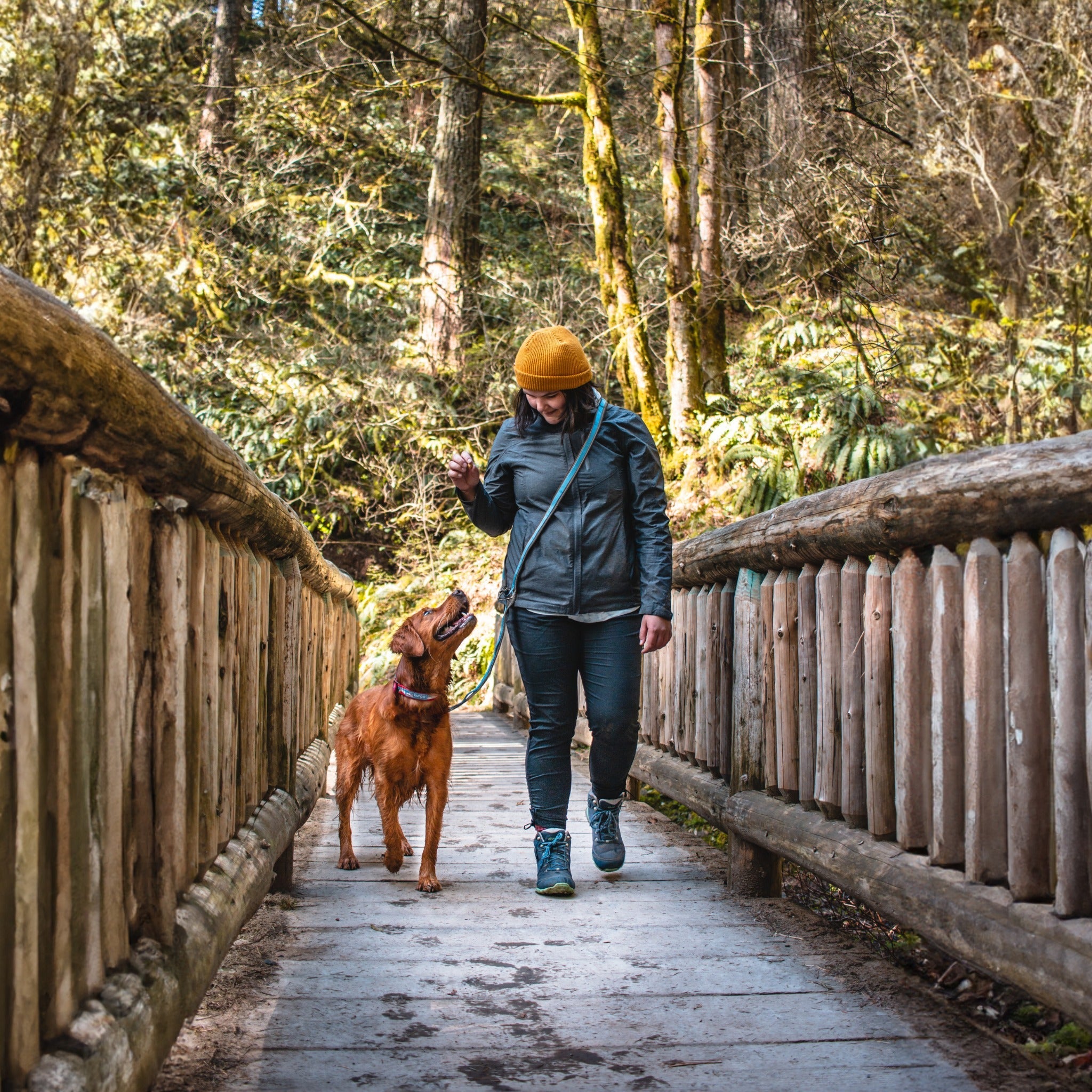 Kurgo Quantum 6-in-1 Dog Leash 2.0, Hundeleine - Woofshack