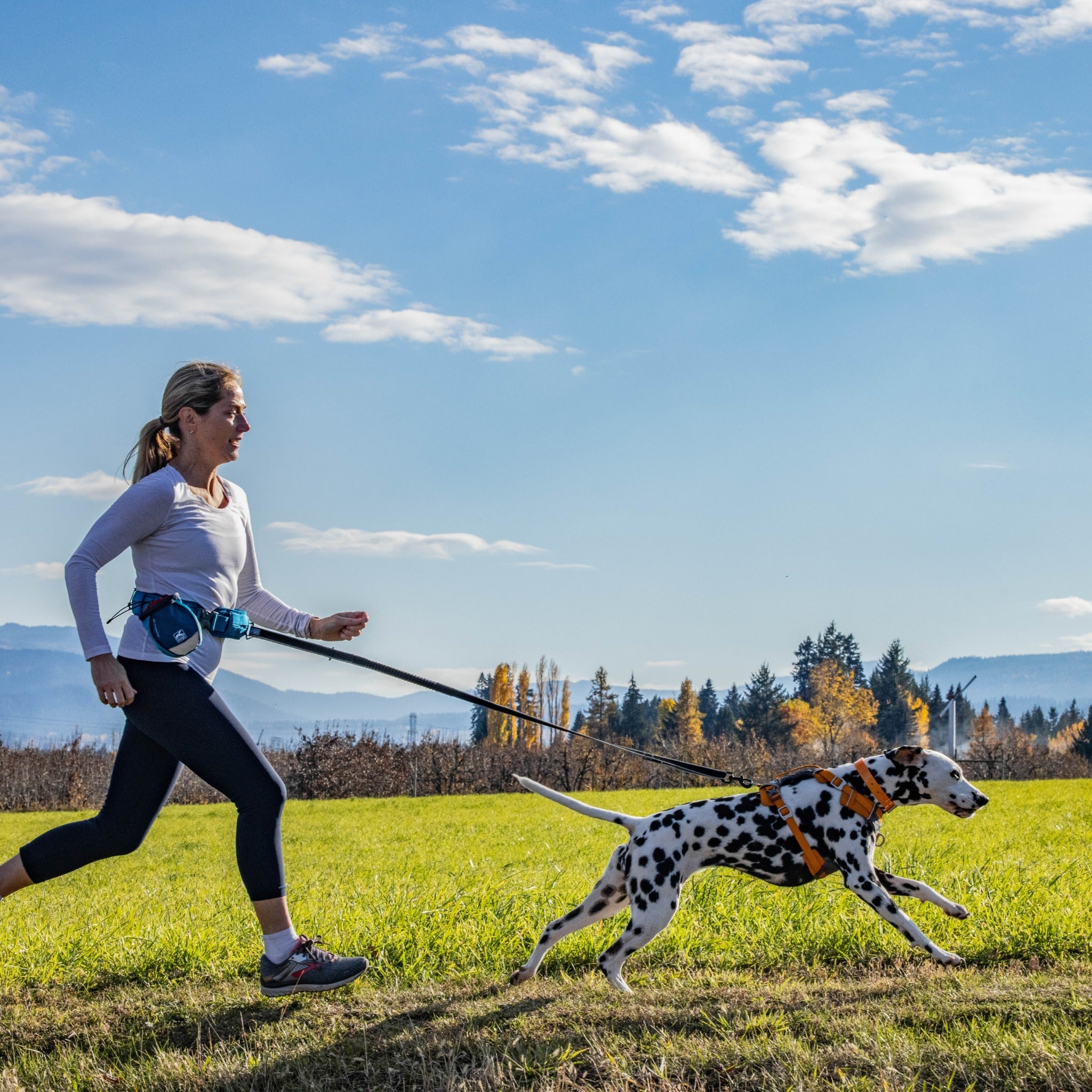 Kurgo Springback Leash, Hundeleine - Woofshack