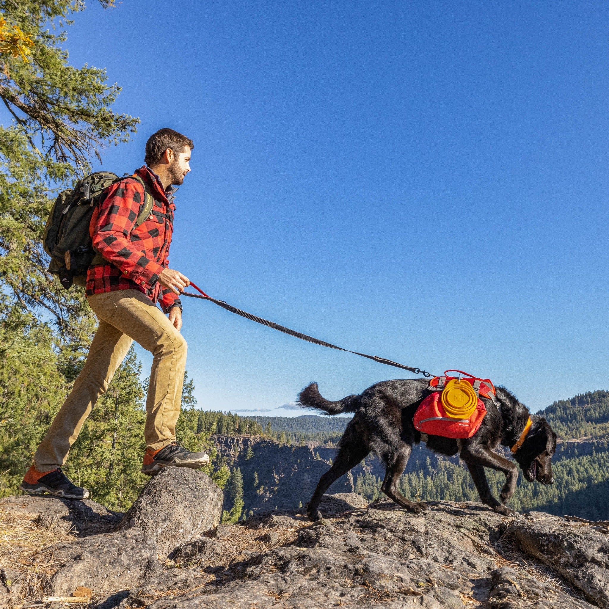 Kurgo Springback Leash, Hundeleine - Woofshack