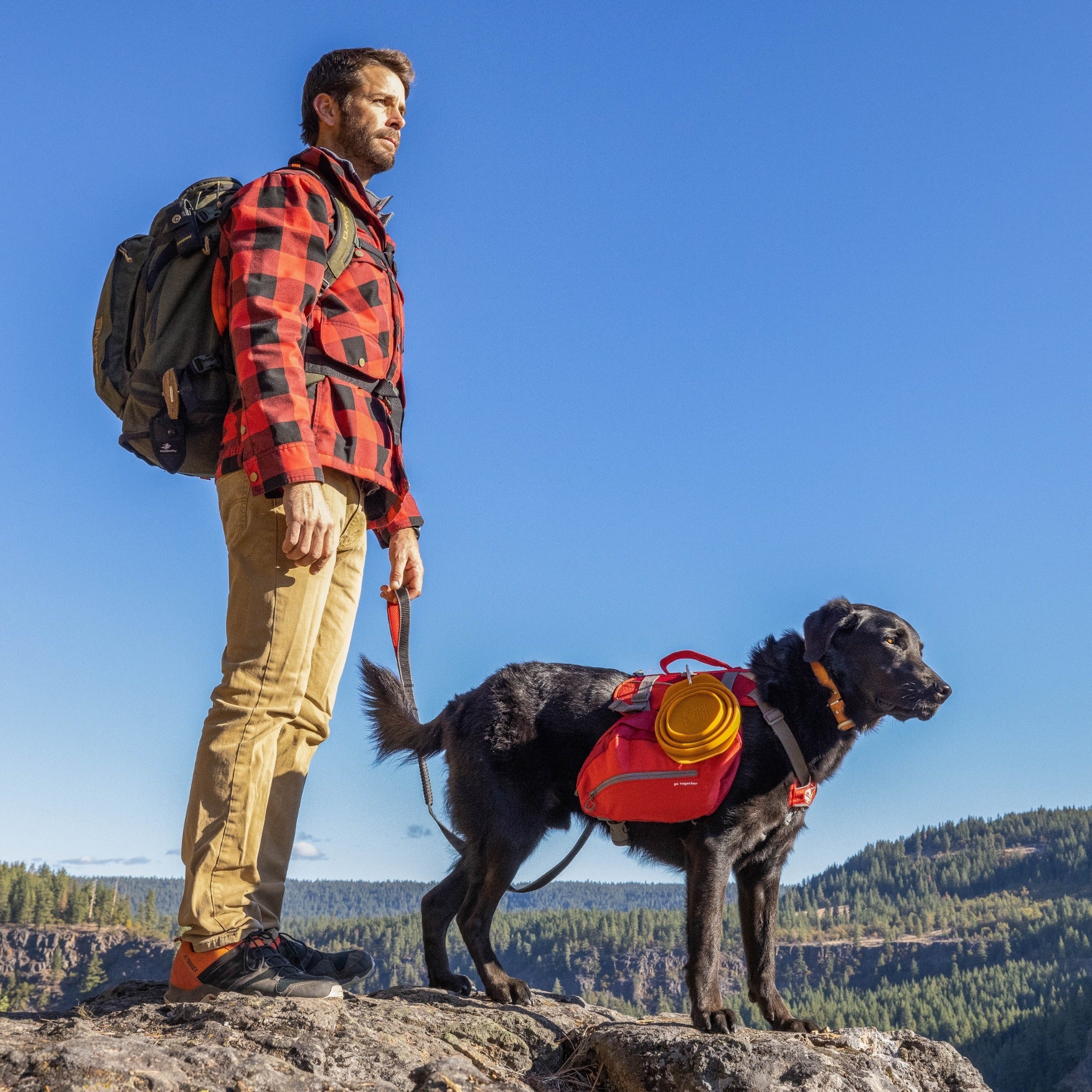 Kurgo Springback Leash, Hundeleine - Woofshack