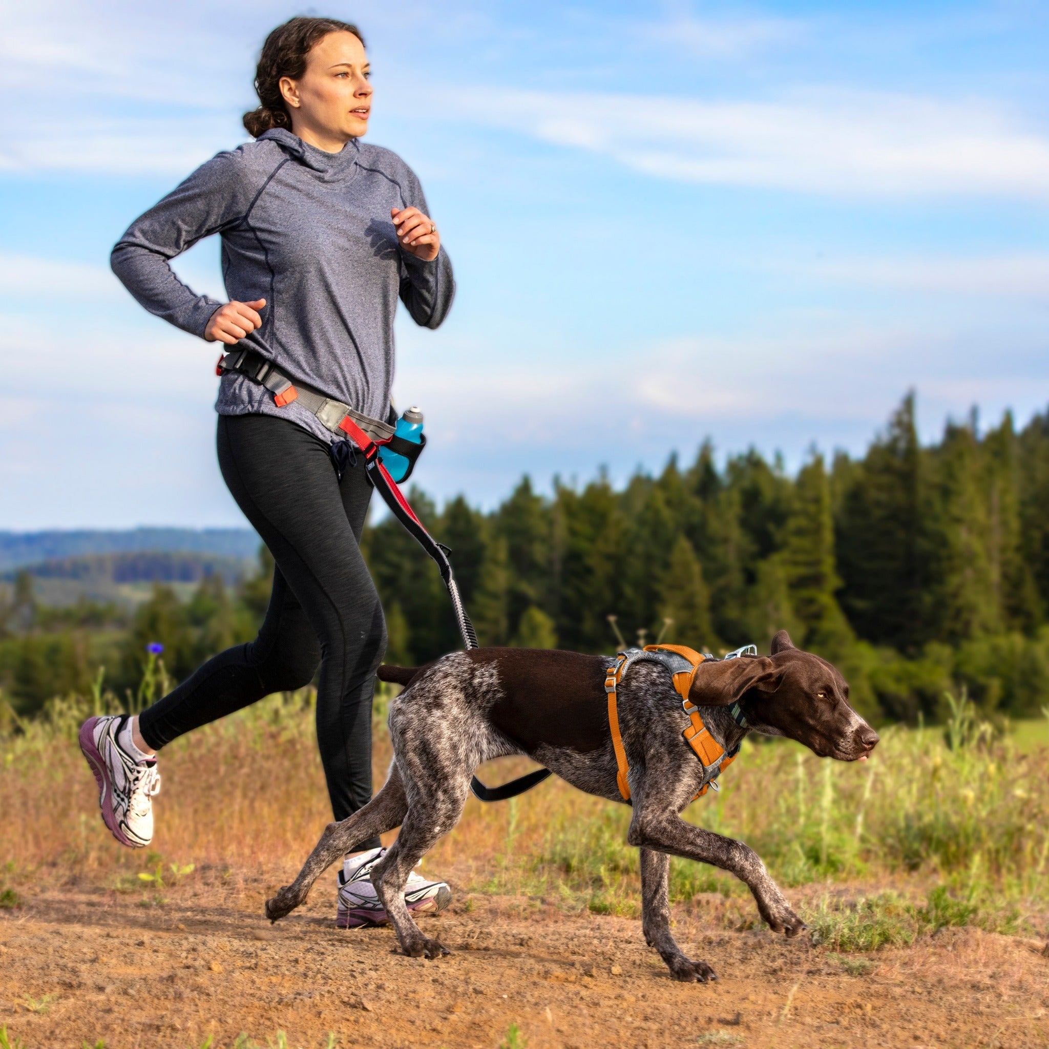 Kurgo Springback Leash, Hundeleine - Woofshack