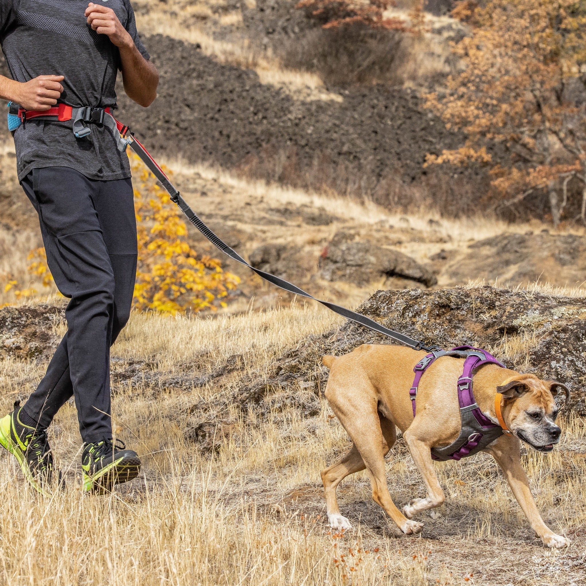 Kurgo Springback Leash, Hundeleine - Woofshack