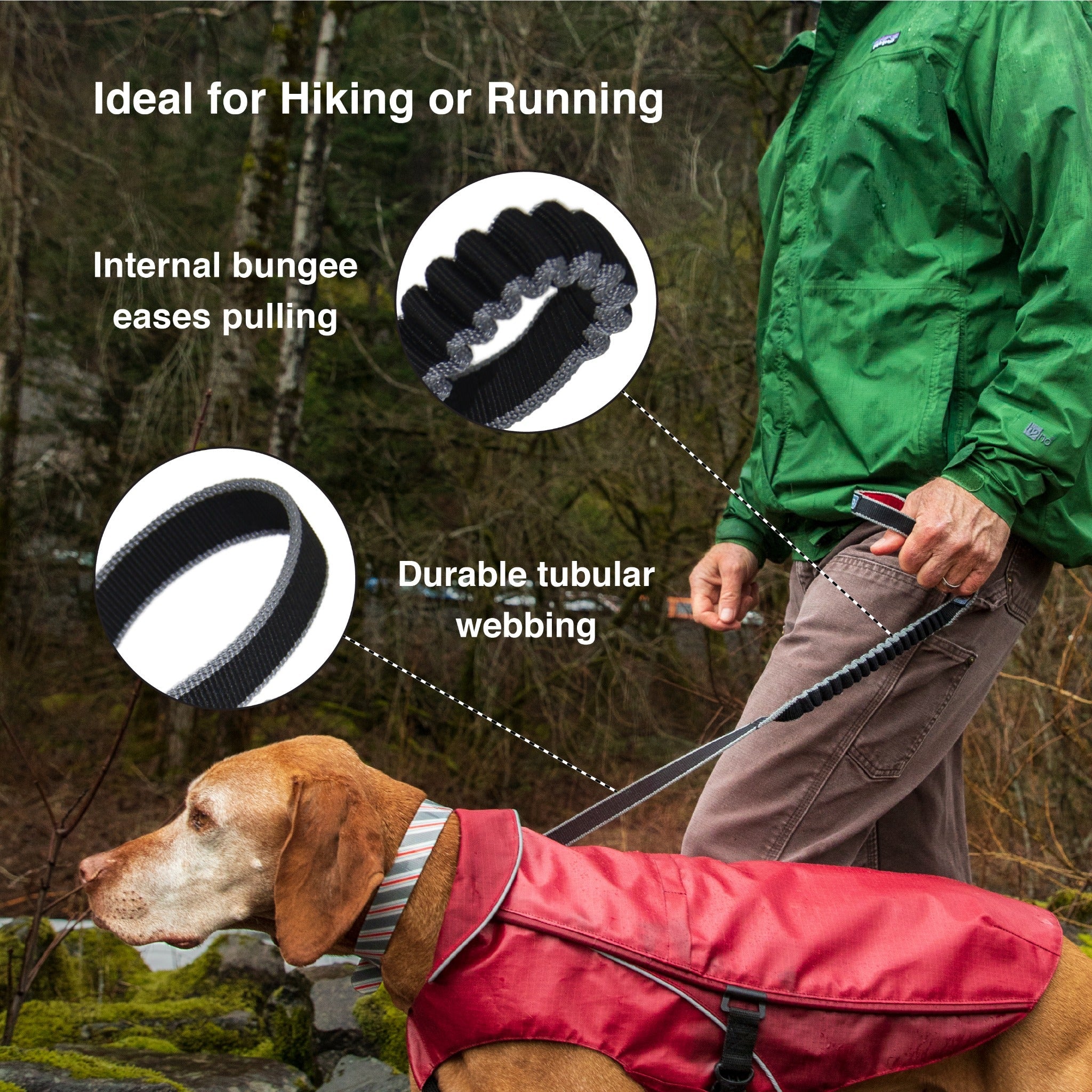 Kurgo Springback Leash, Hundeleine - Woofshack