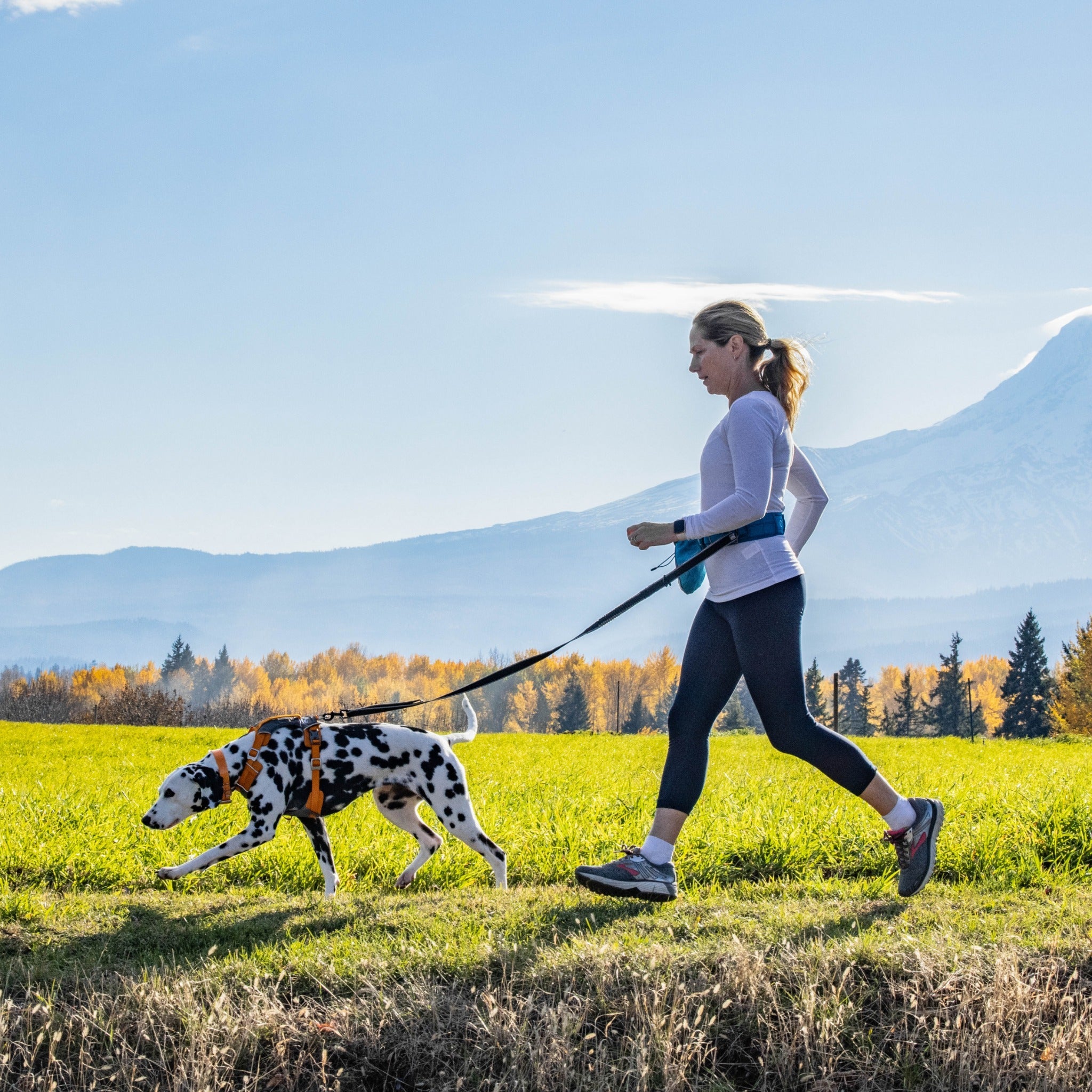 Kurgo Springback Leash, Hundeleine - Woofshack