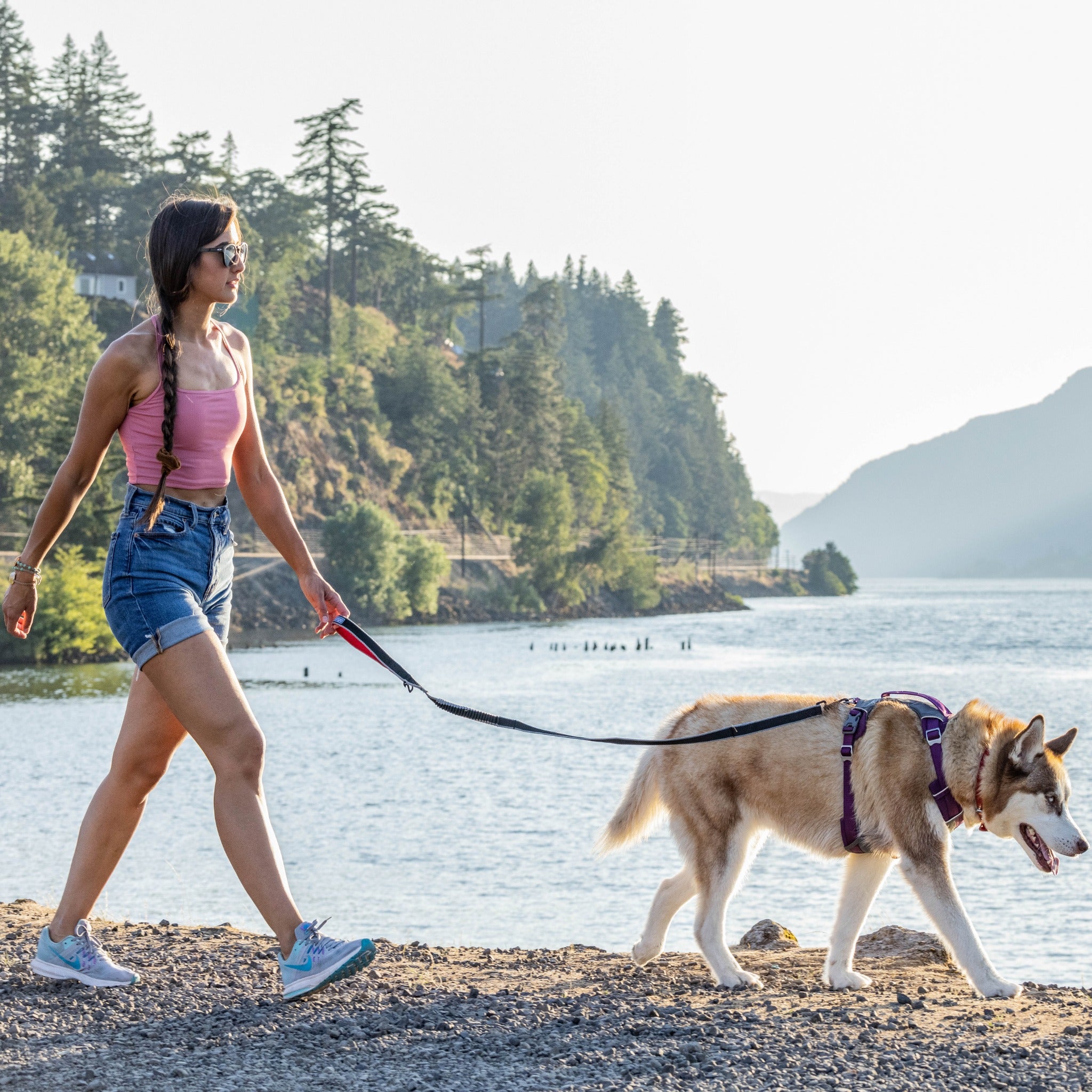 Kurgo Springback Leash, Hundeleine - Woofshack