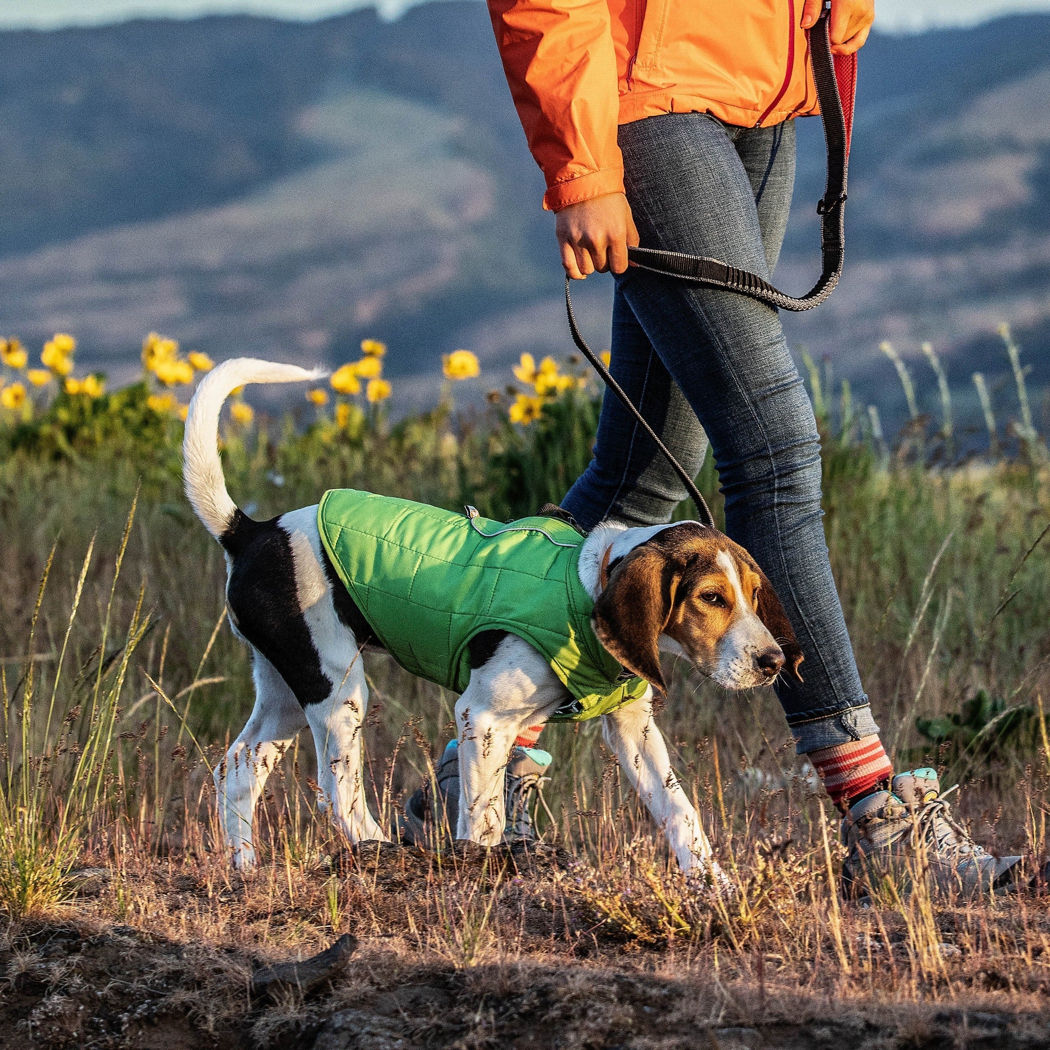 Kurgo Springback Leash, Hundeleine - Woofshack